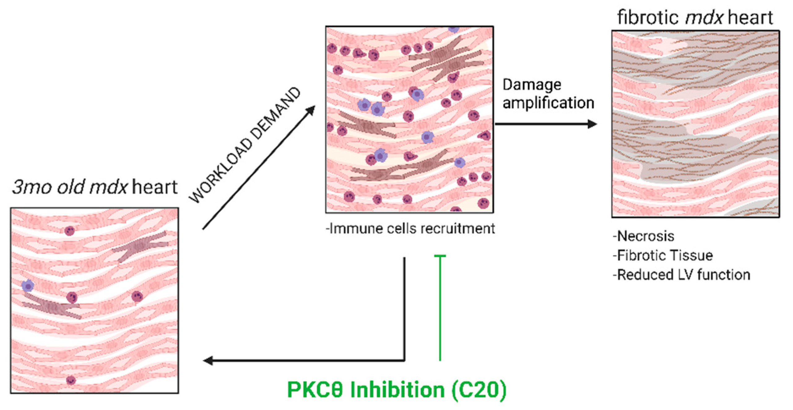 Ijms 23 02256 g007 550