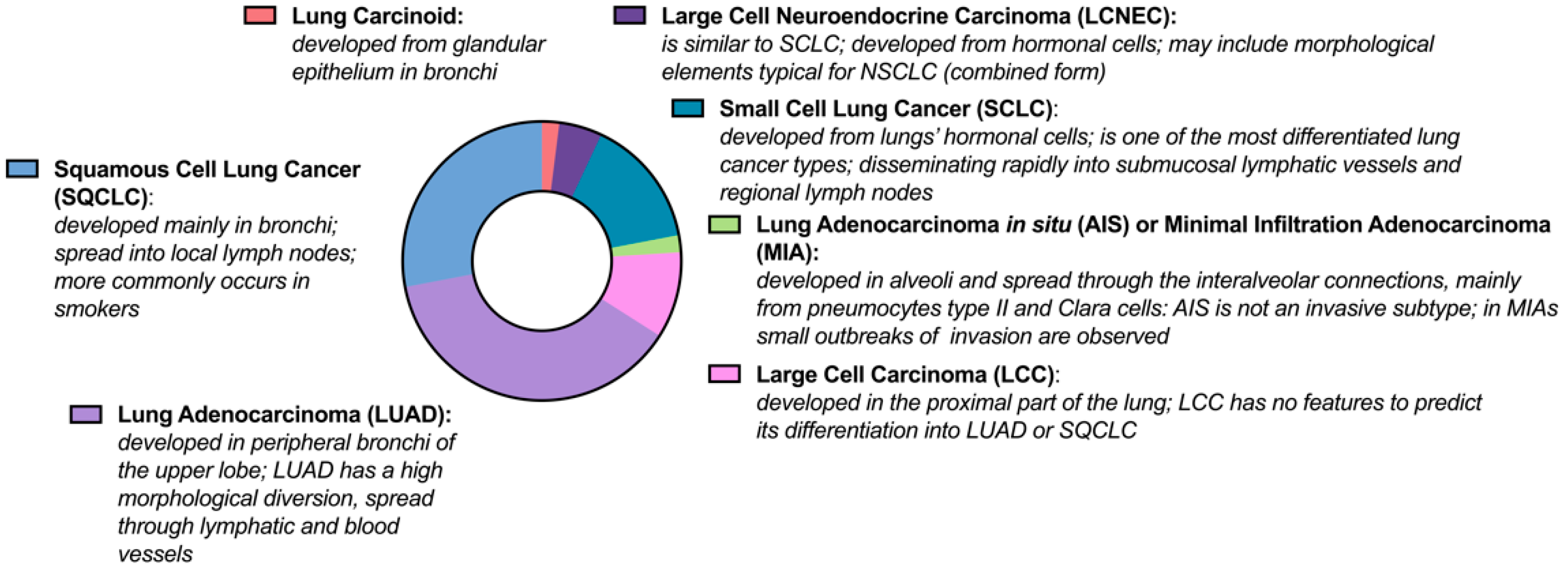 Ijms 23 02261 g001 Ijms 23 02261 g001