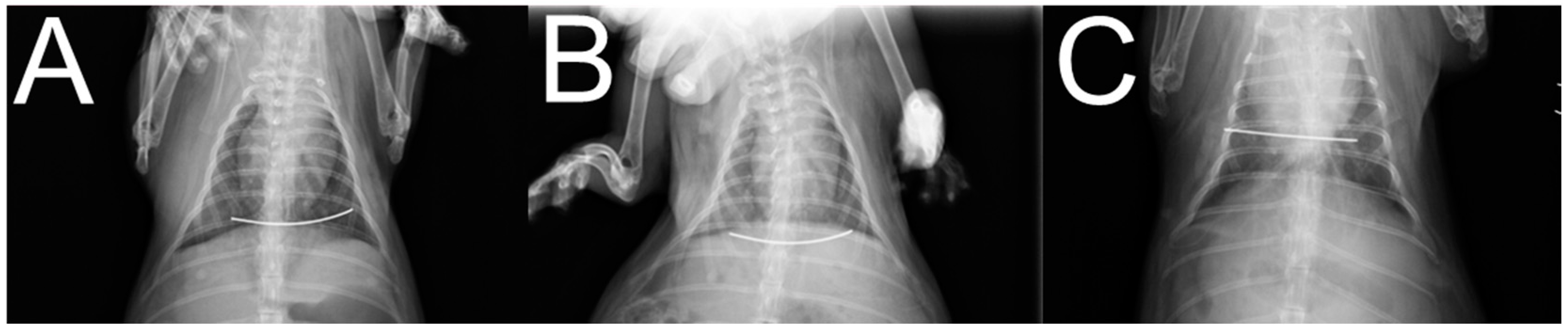 Ijms 23 02265 g002 550