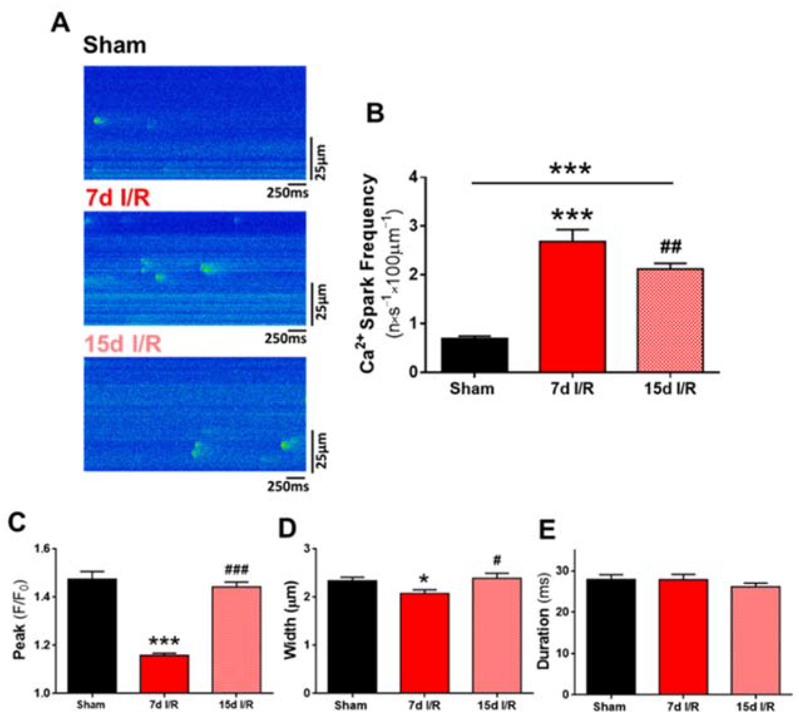 Ijms 23 02266 g004 550