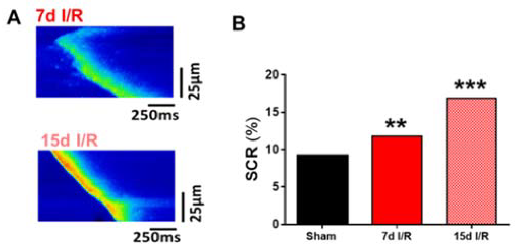 Ijms 23 02266 g005 550