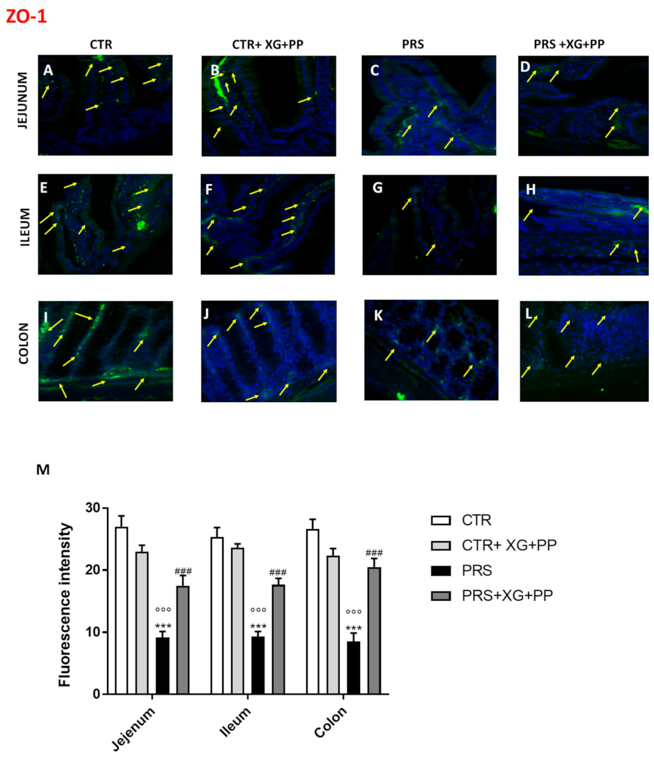 Ijms 23 02269 g004 550
