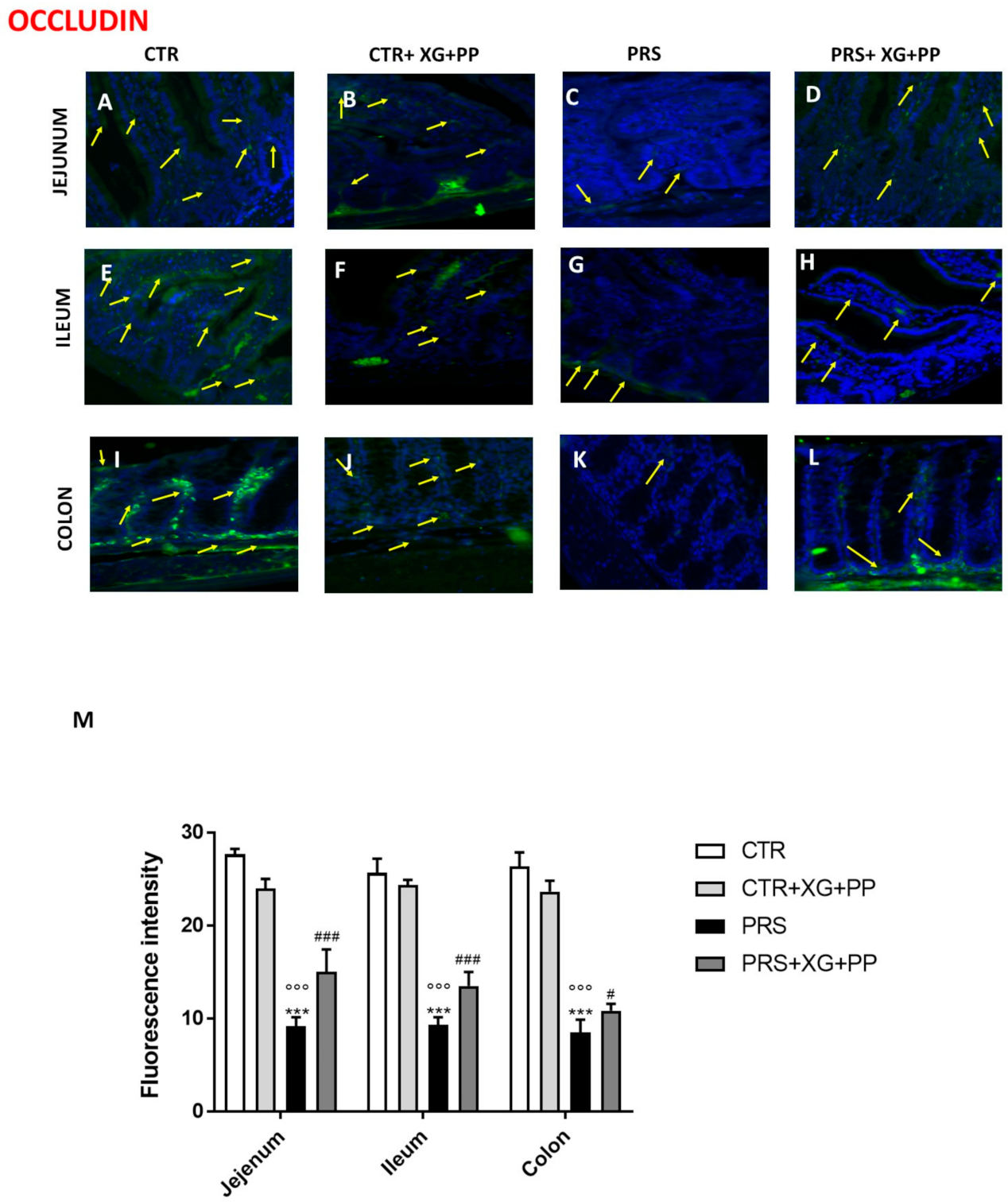Ijms 23 02269 g005 550