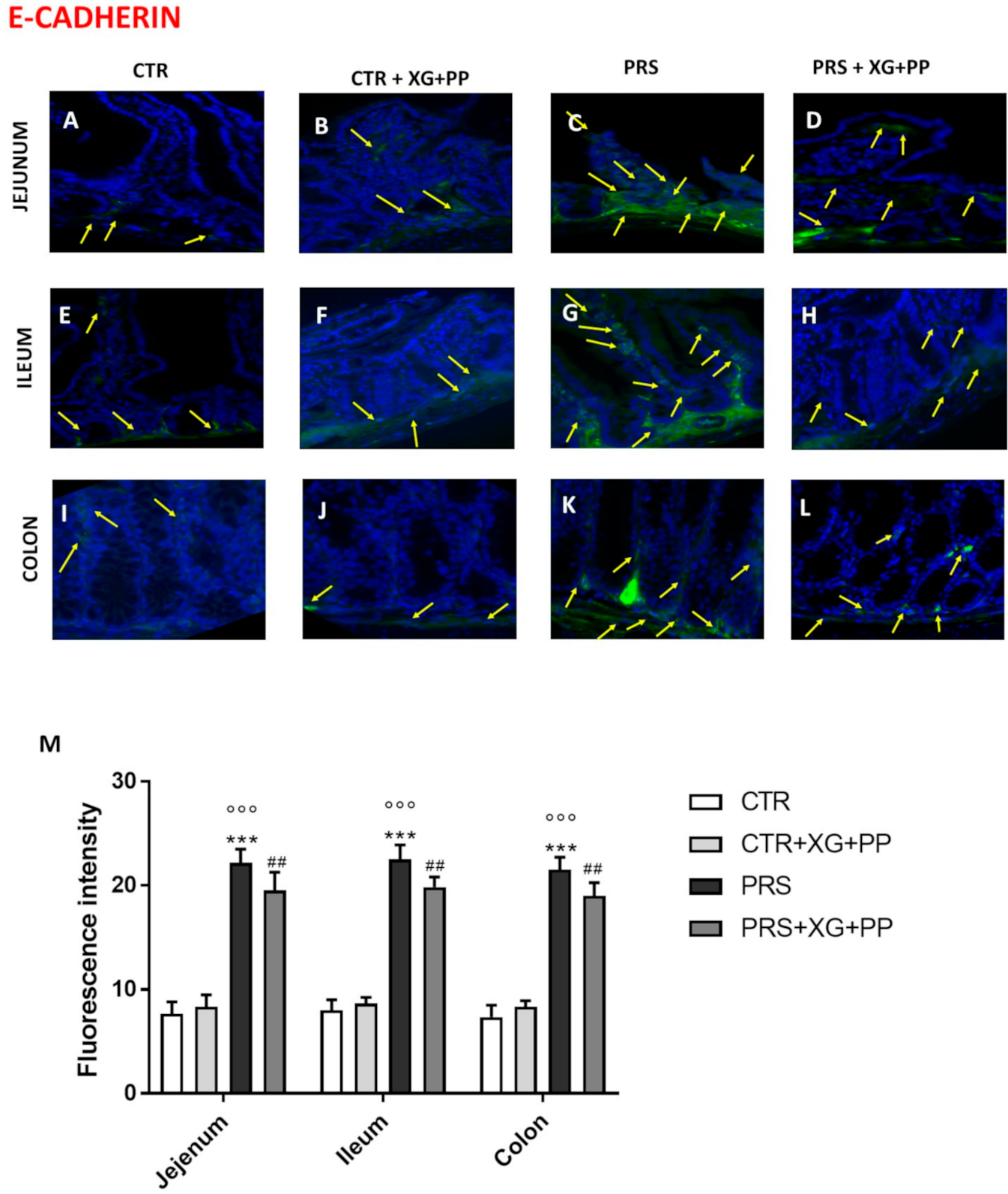 Ijms 23 02269 g006 550