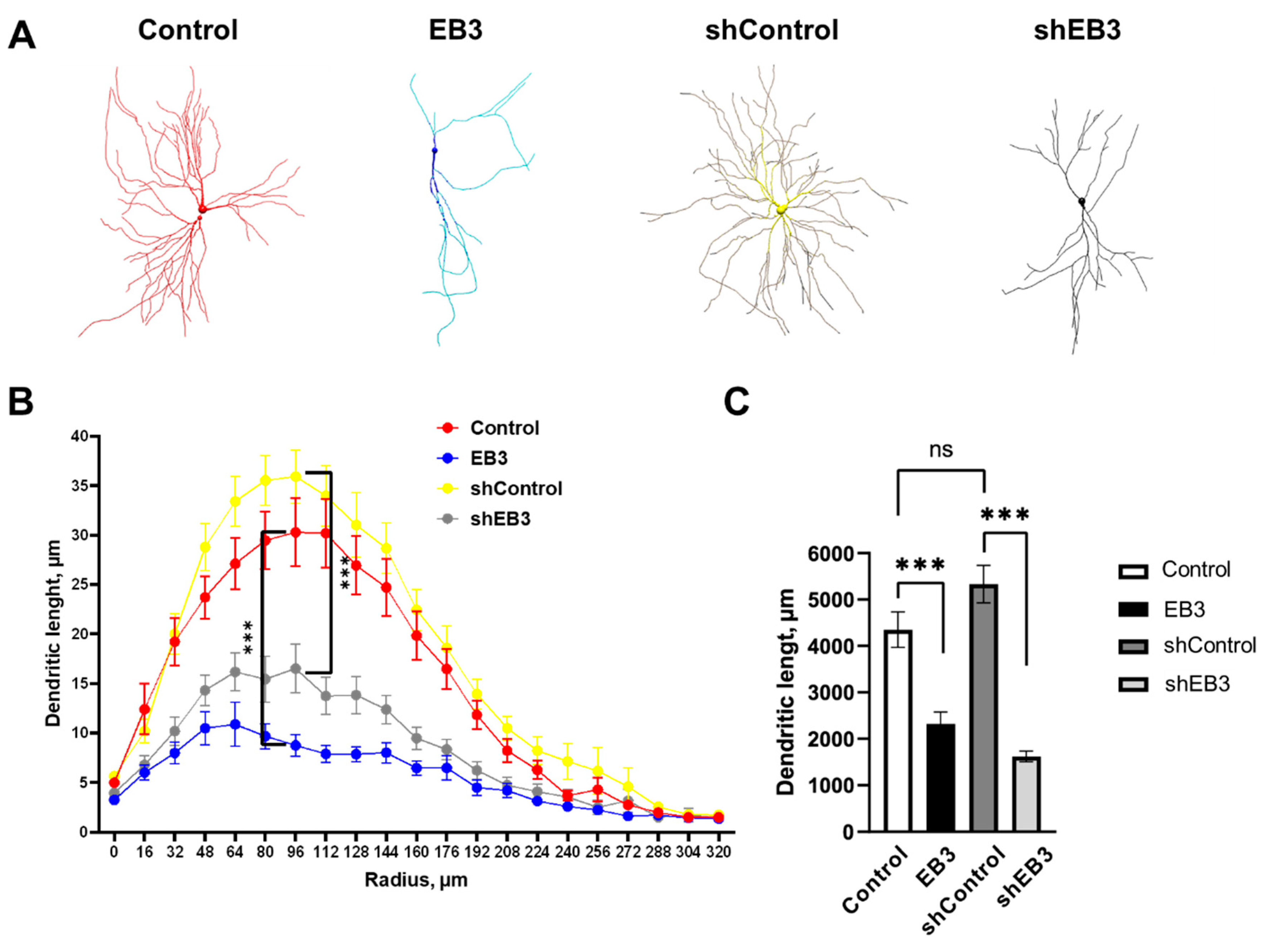 Ijms 23 02274 g001 550