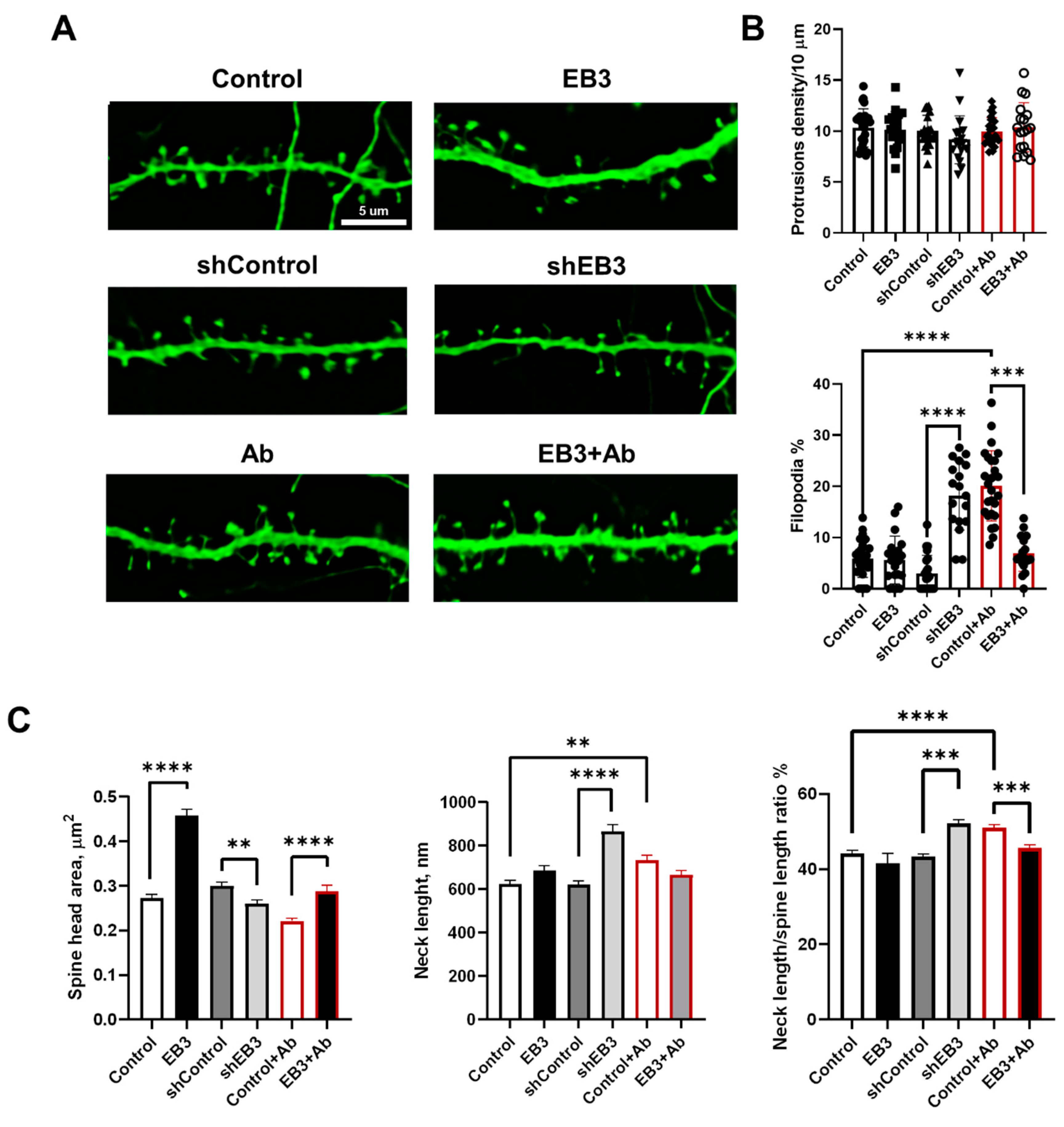 Ijms 23 02274 g002 550