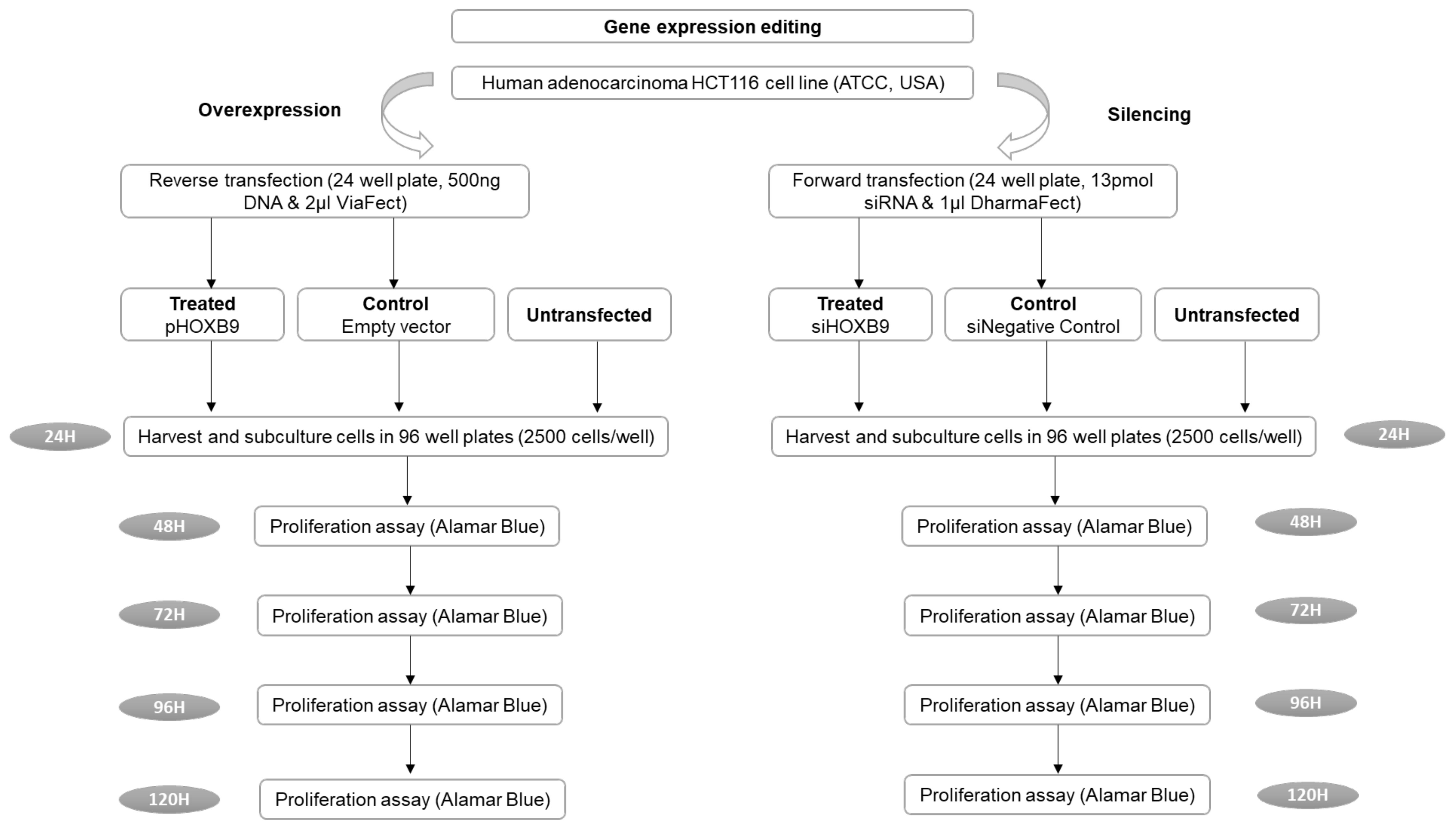 Ijms 23 02281 g001 550