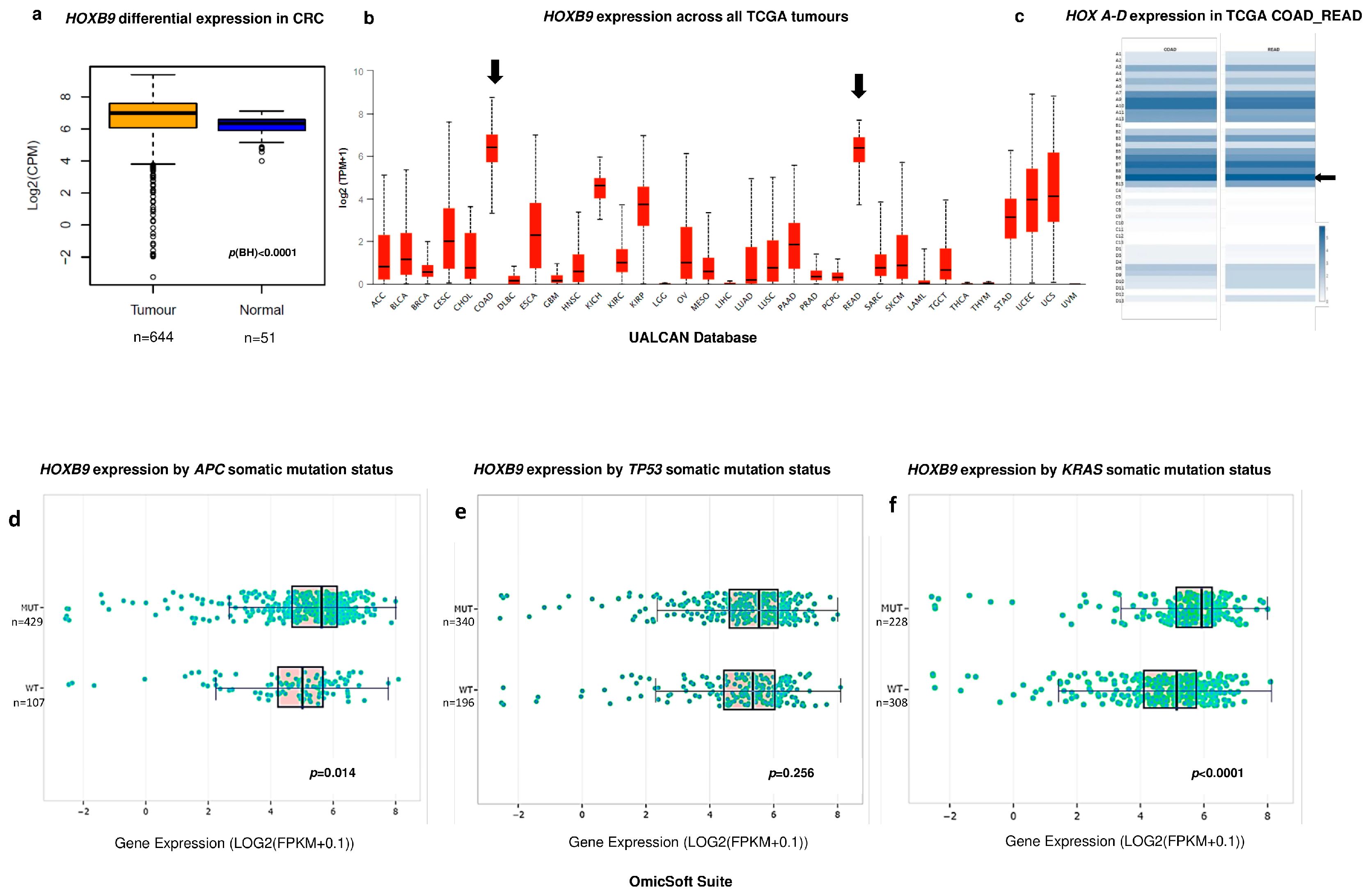 Ijms 23 02281 g002 550