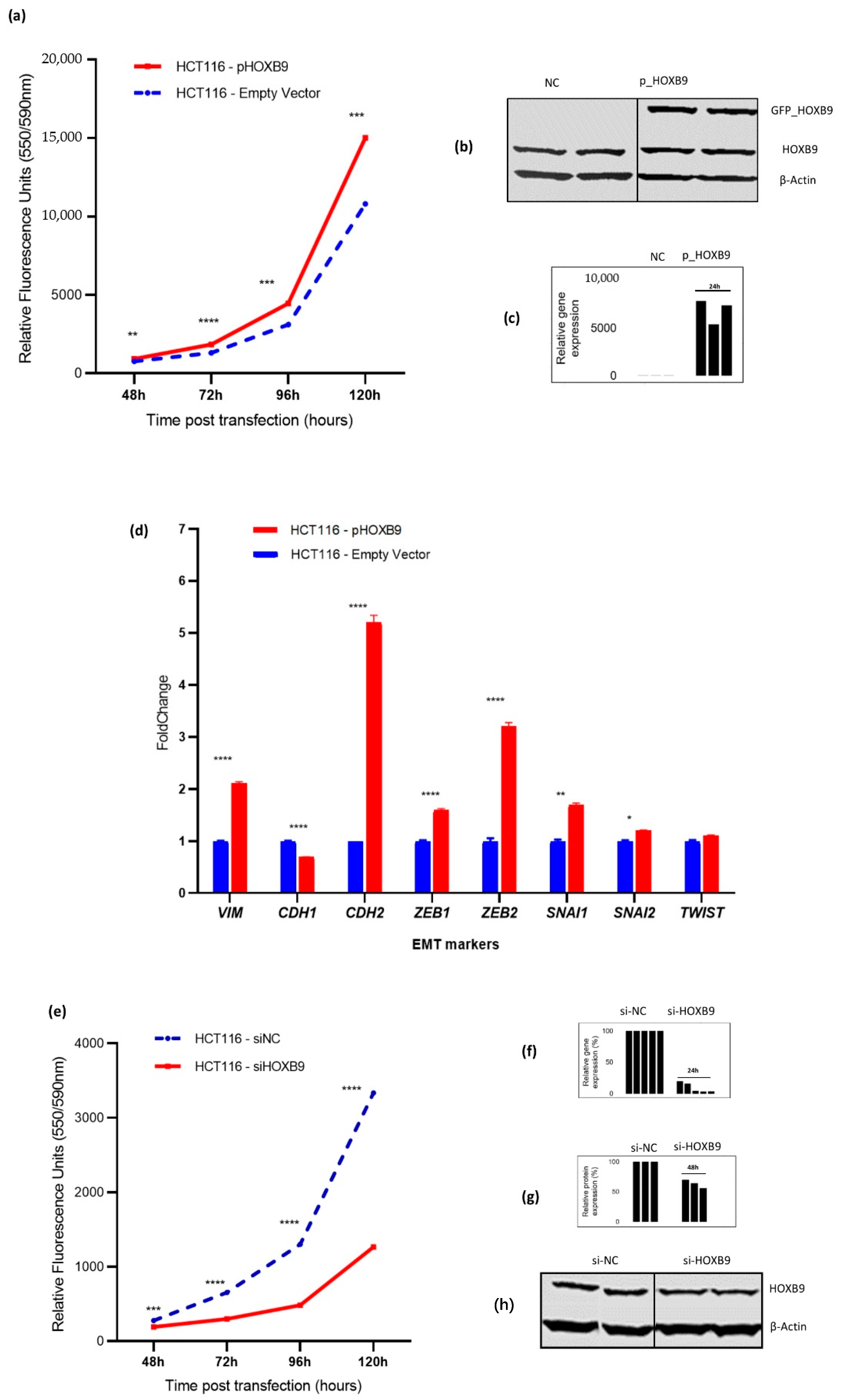 Ijms 23 02281 g003 550