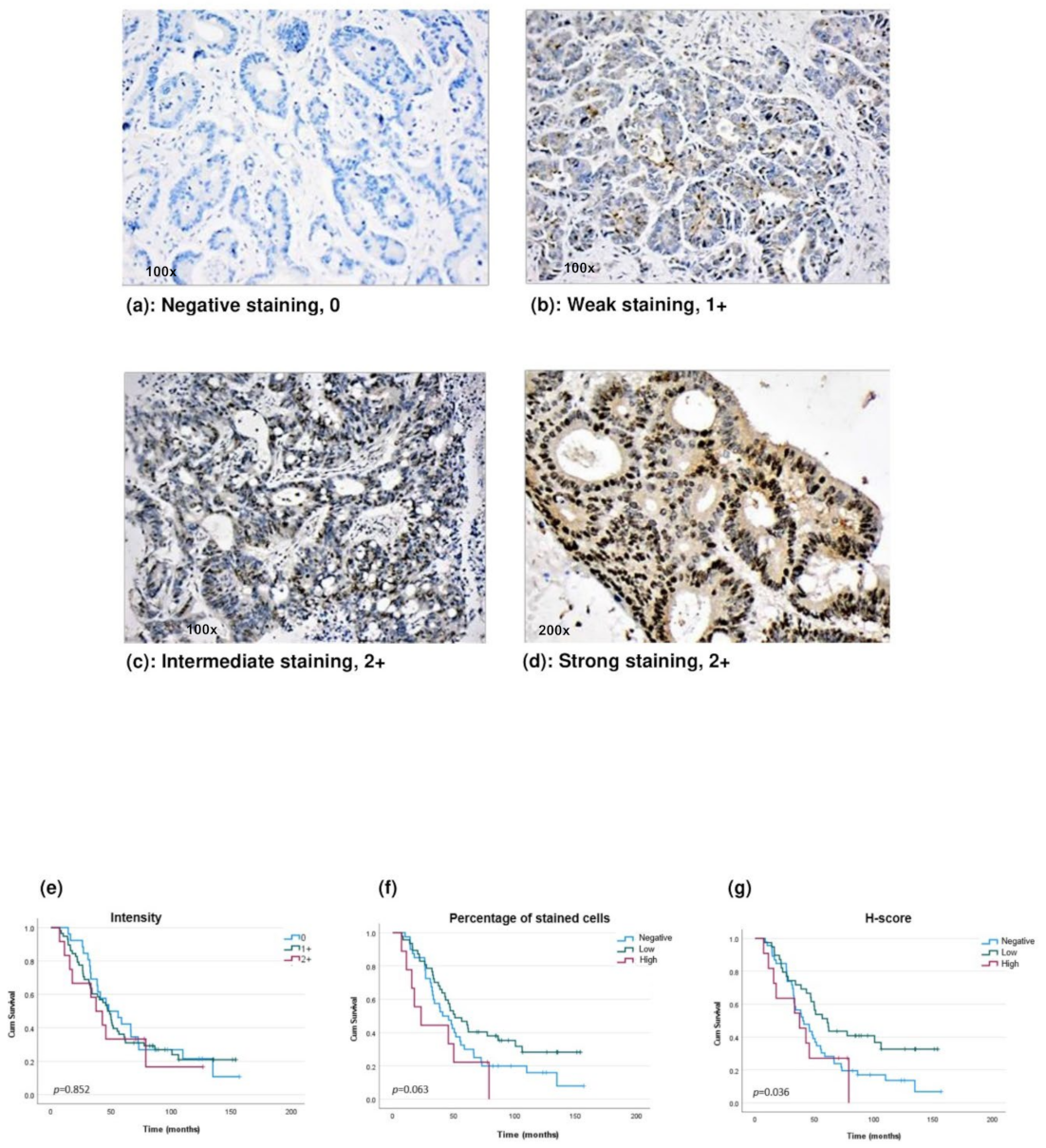 Ijms 23 02281 g004 550