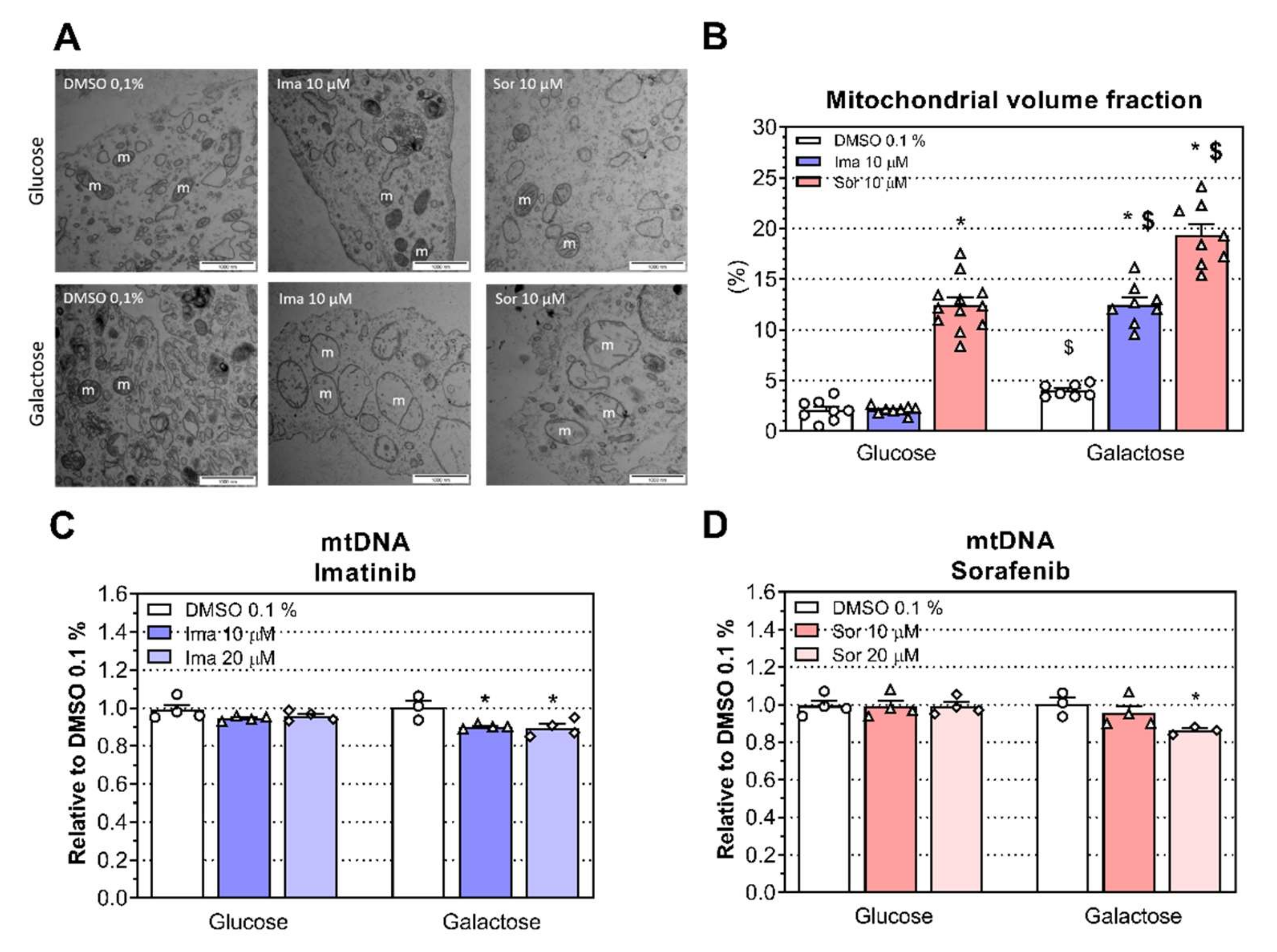 Ijms 23 02282 g005 550