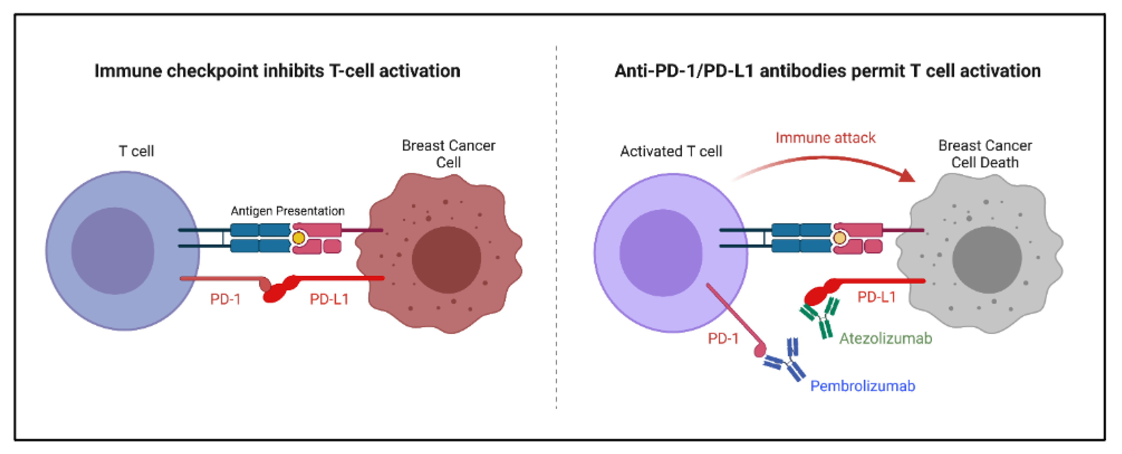 Ijms 23 02288 g005 Ijms 23 02288 g005