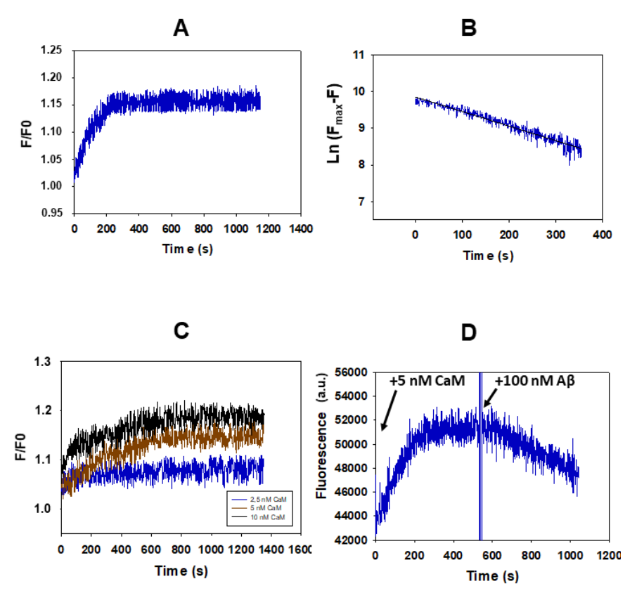 Ijms 23 02289 g001 Ijms 23 02289 g001
