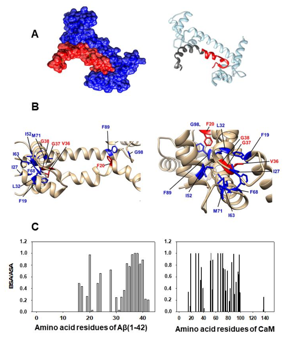 Ijms 23 02289 g002 Ijms 23 02289 g002