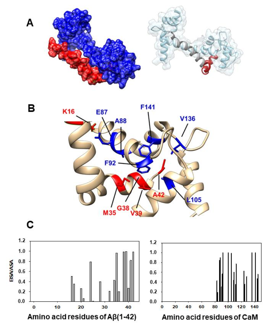 Ijms 23 02289 g003 Ijms 23 02289 g003