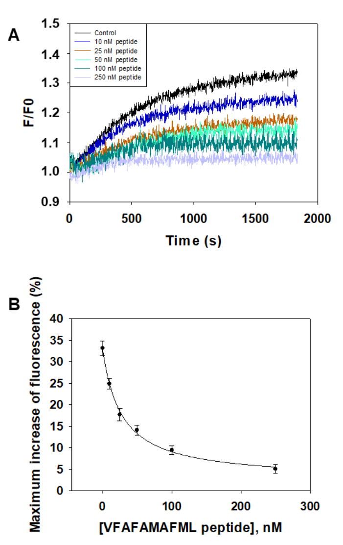 Ijms 23 02289 g006 Ijms 23 02289 g006