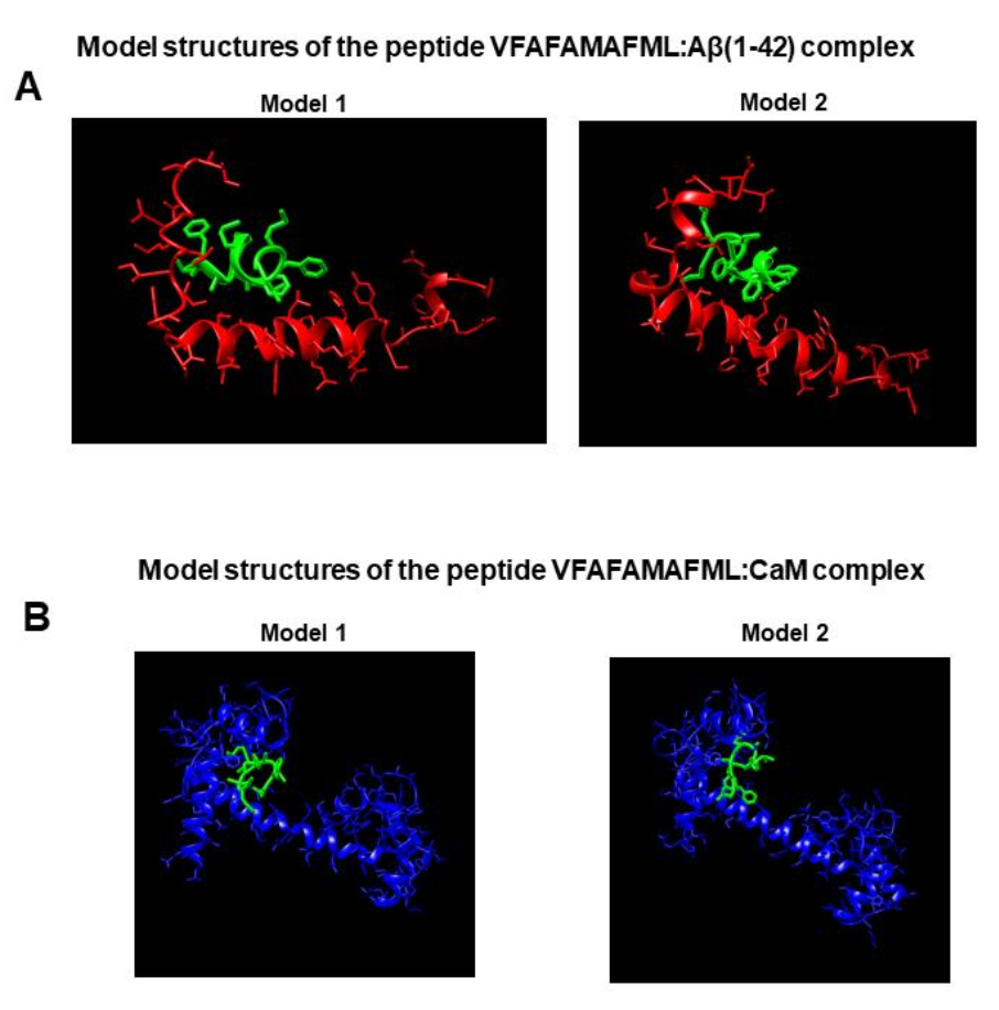 Ijms 23 02289 g008 Ijms 23 02289 g008