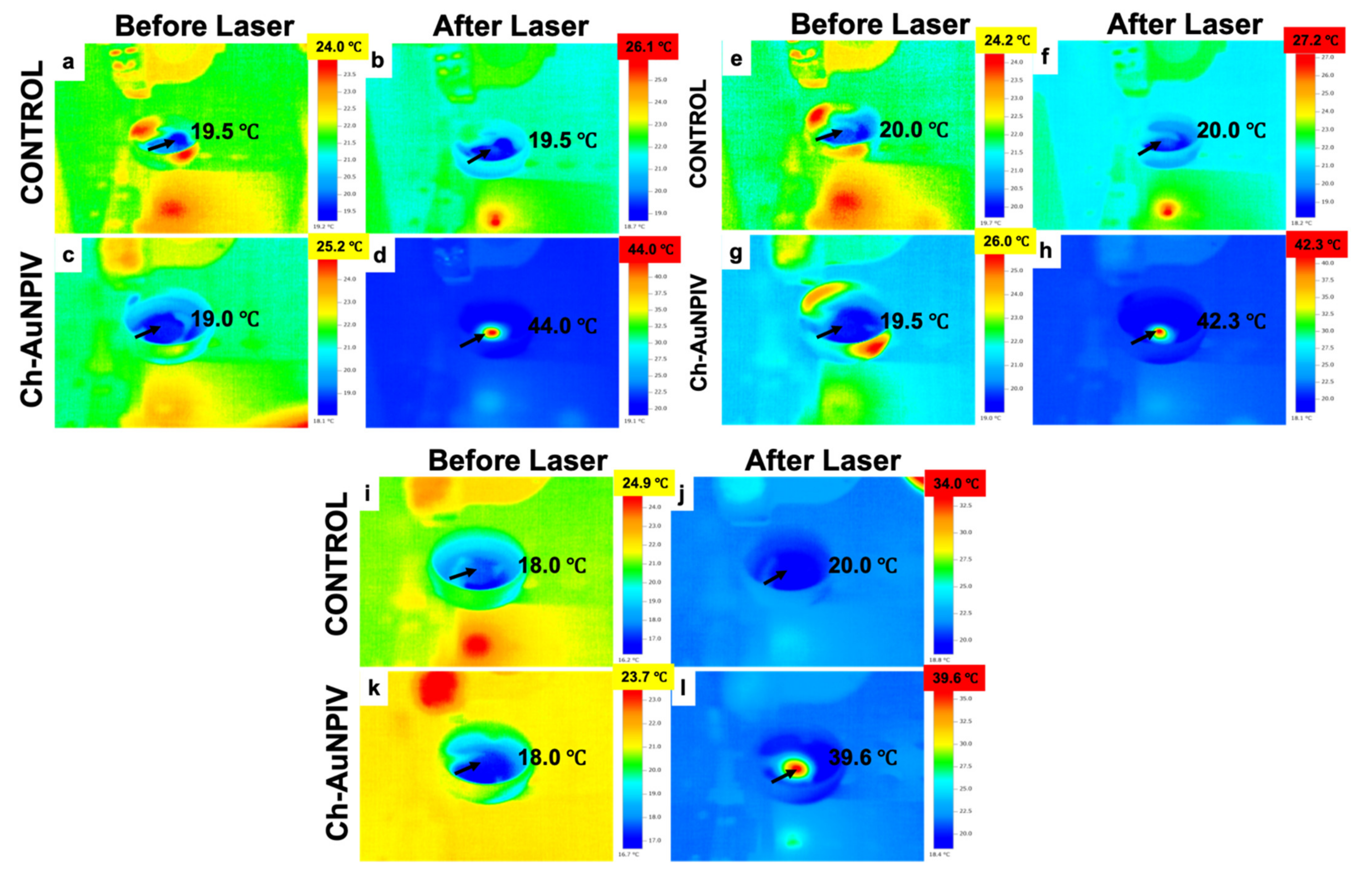 Ijms 23 02292 g007 550
