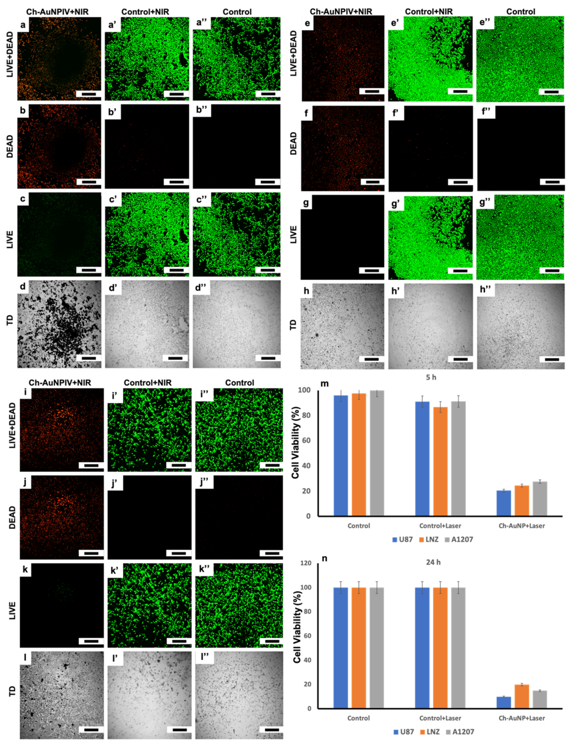 Ijms 23 02292 g008 550