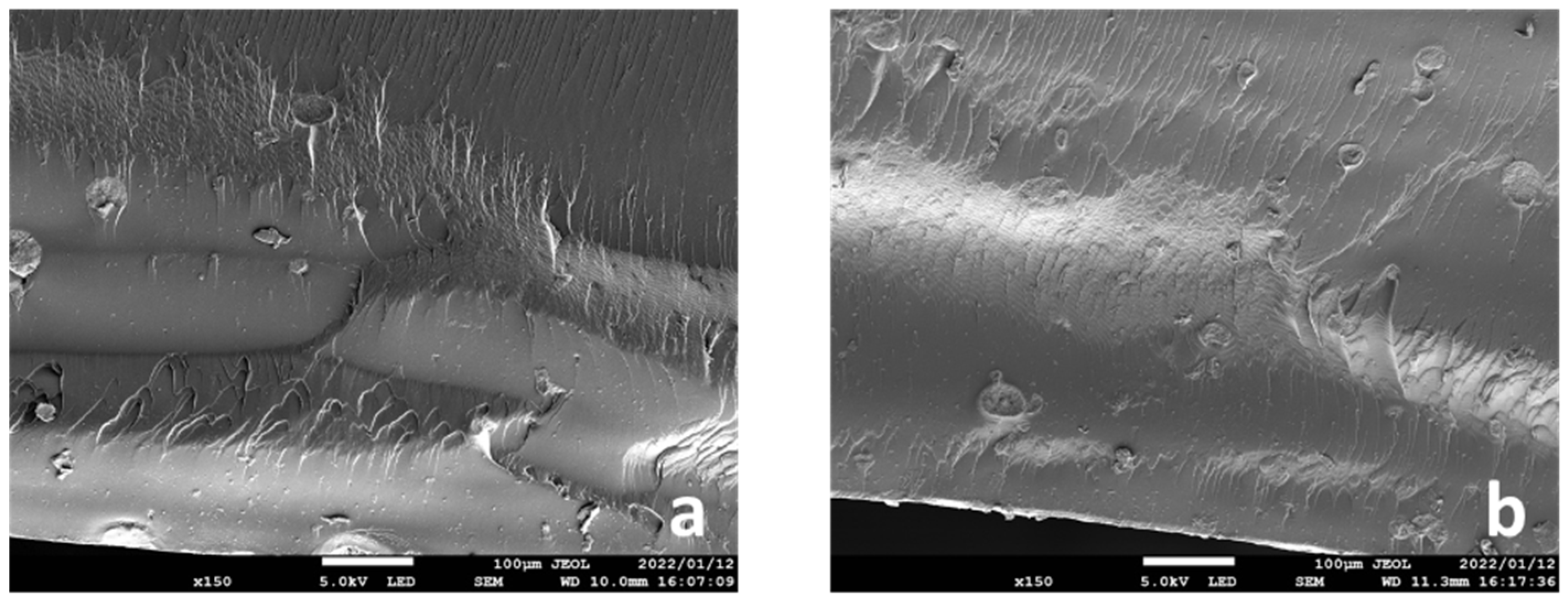 Ijms 23 02296 g003 550