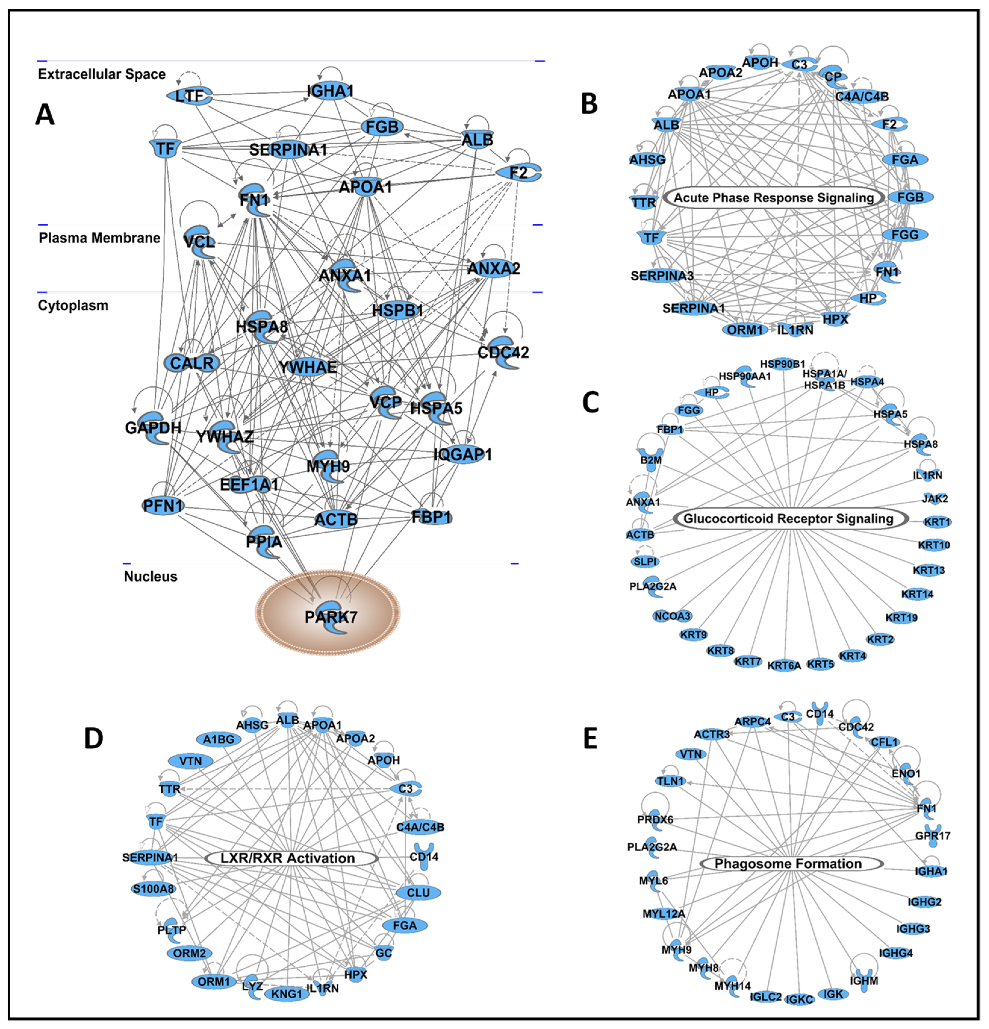 Ijms 23 02307 g004 Ijms 23 02307 g004