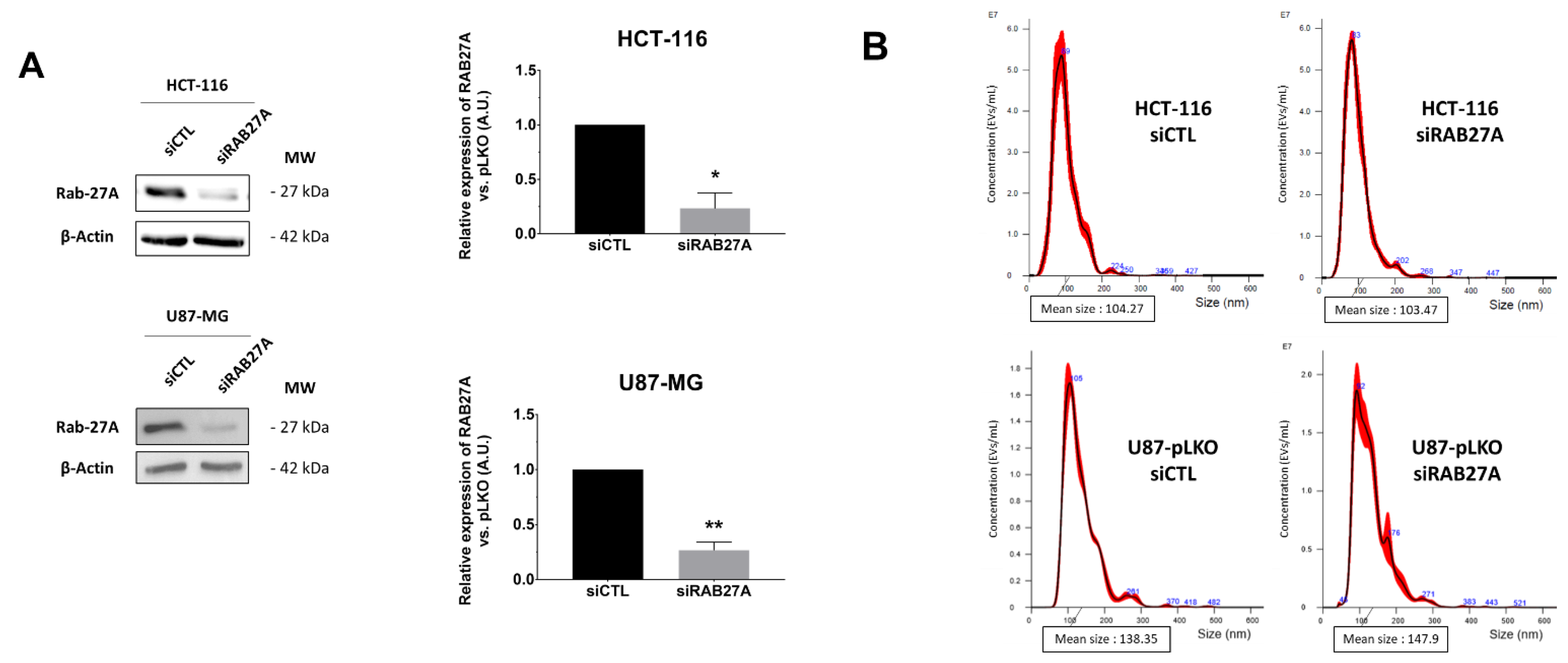 Ijms 23 02310 g003a 550