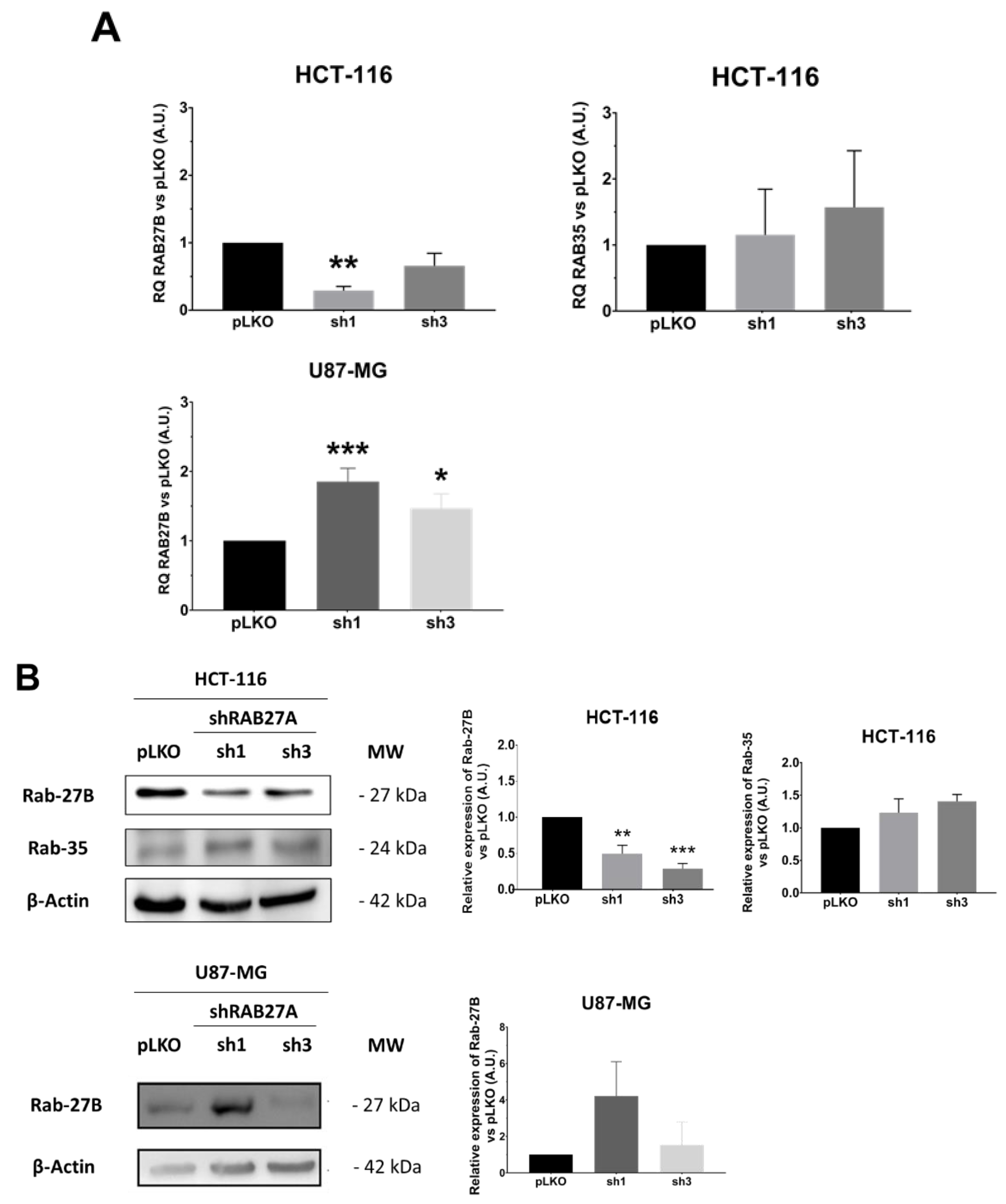 Ijms 23 02310 g005a 550
