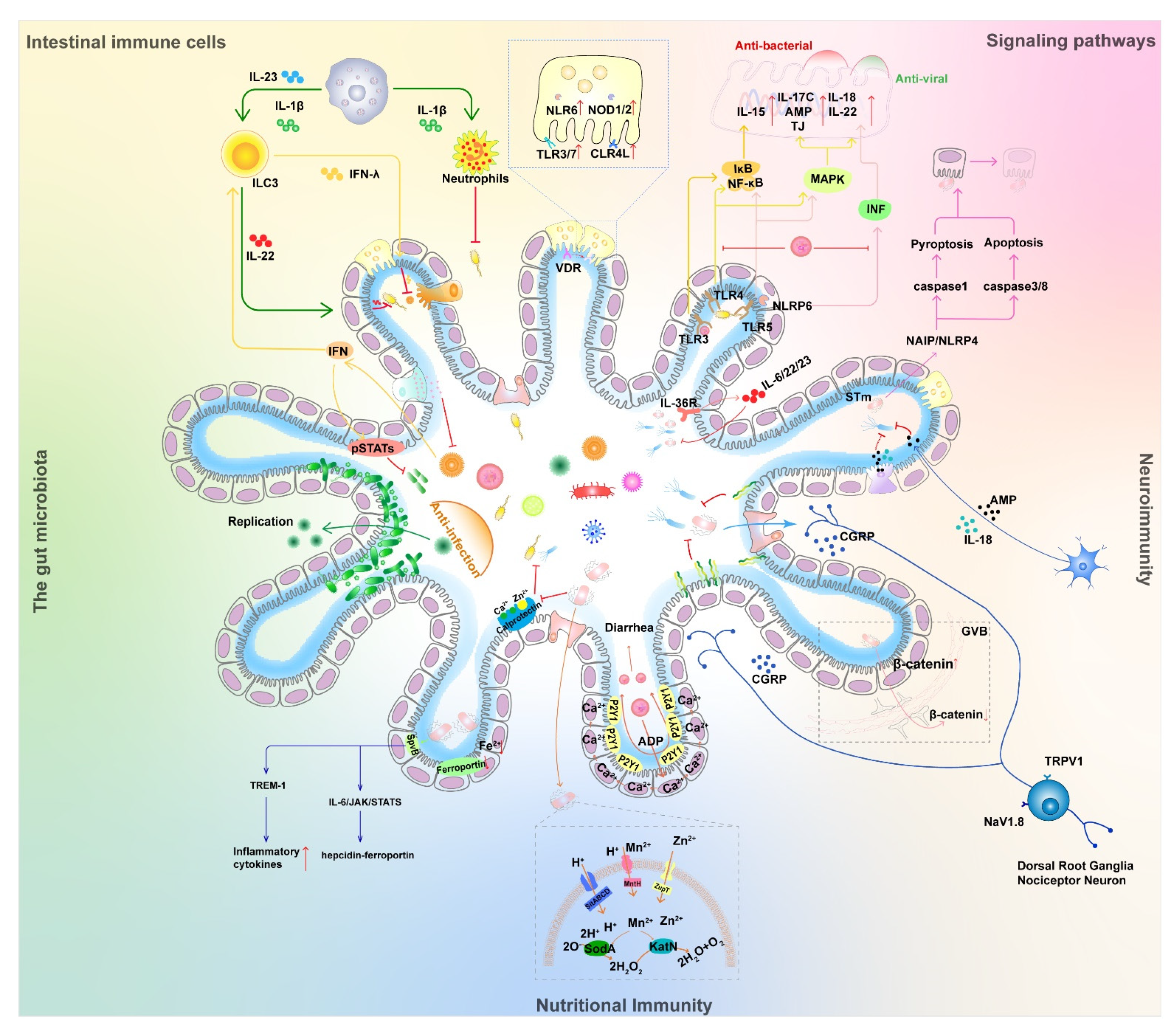 Ijms 23 02311 g002 550