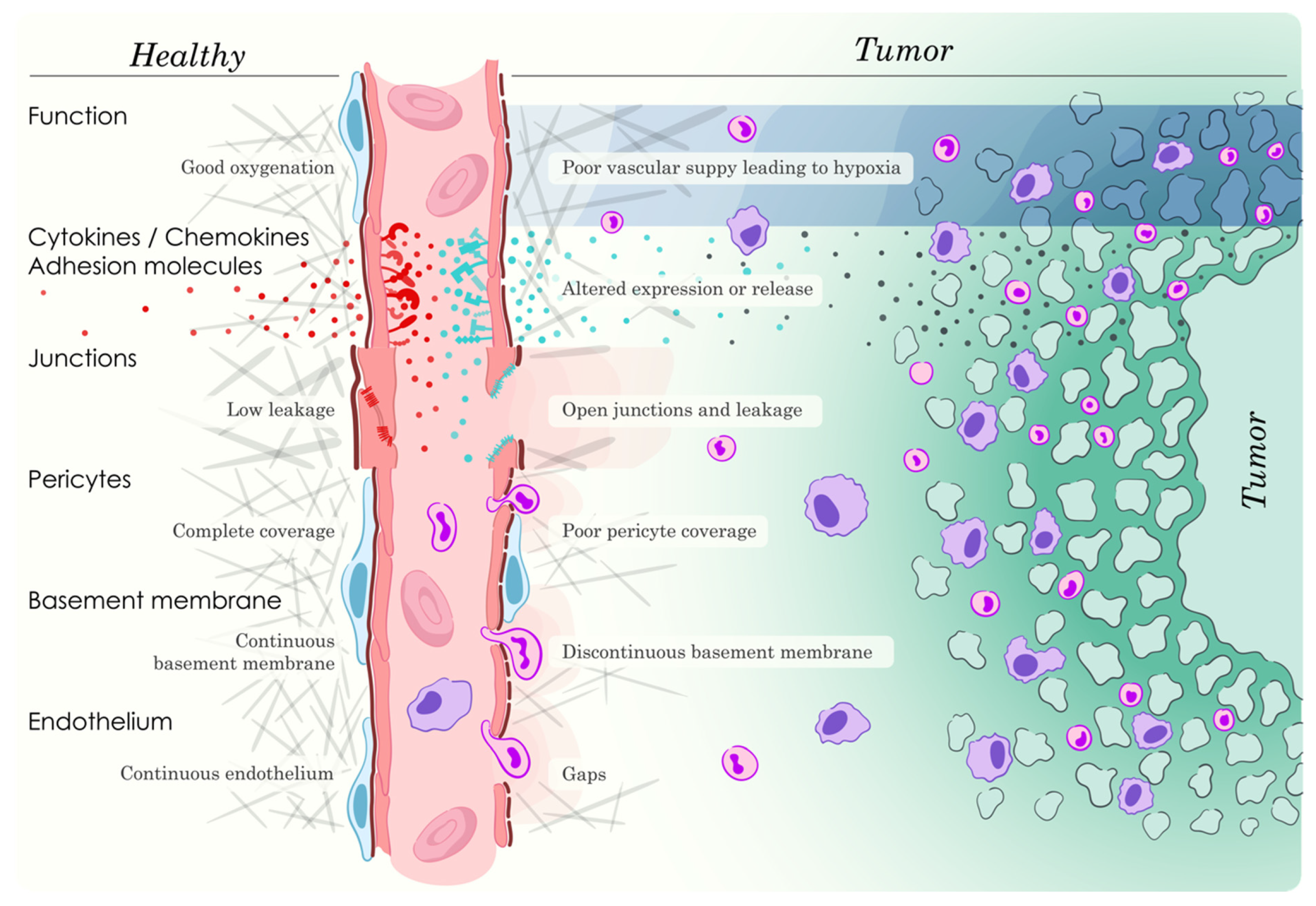 Ijms 23 02313 g001 550