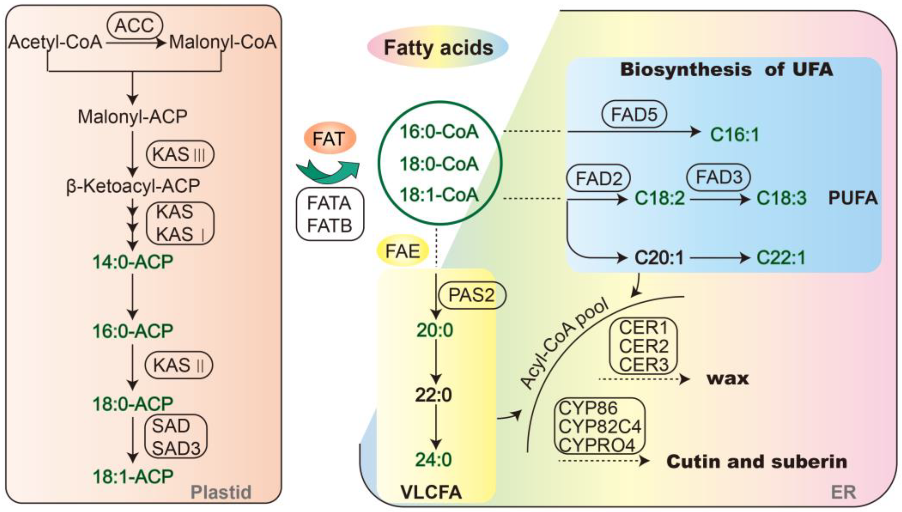 Ijms 23 02319 g005 550
