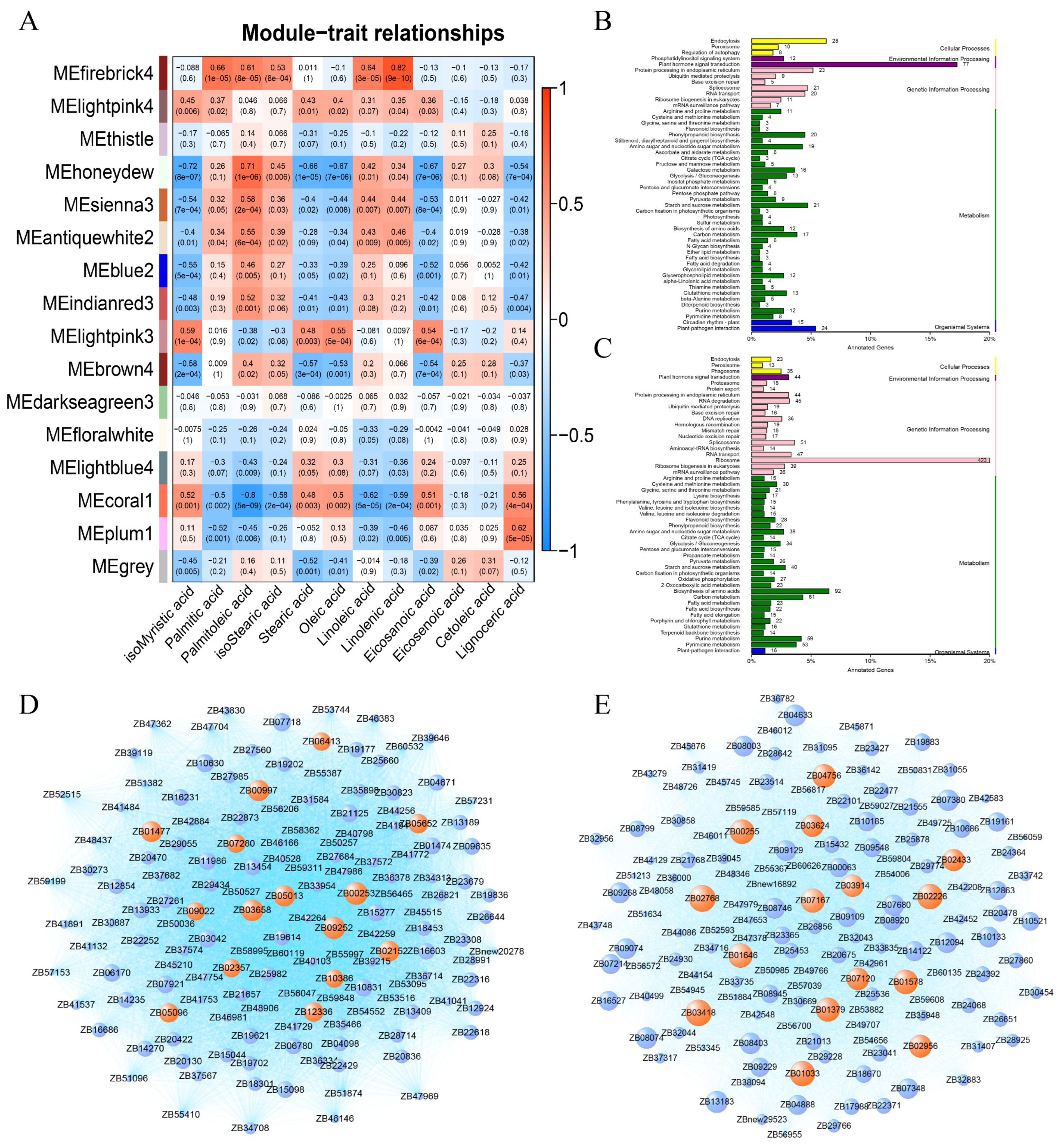 Ijms 23 02319 g007 550