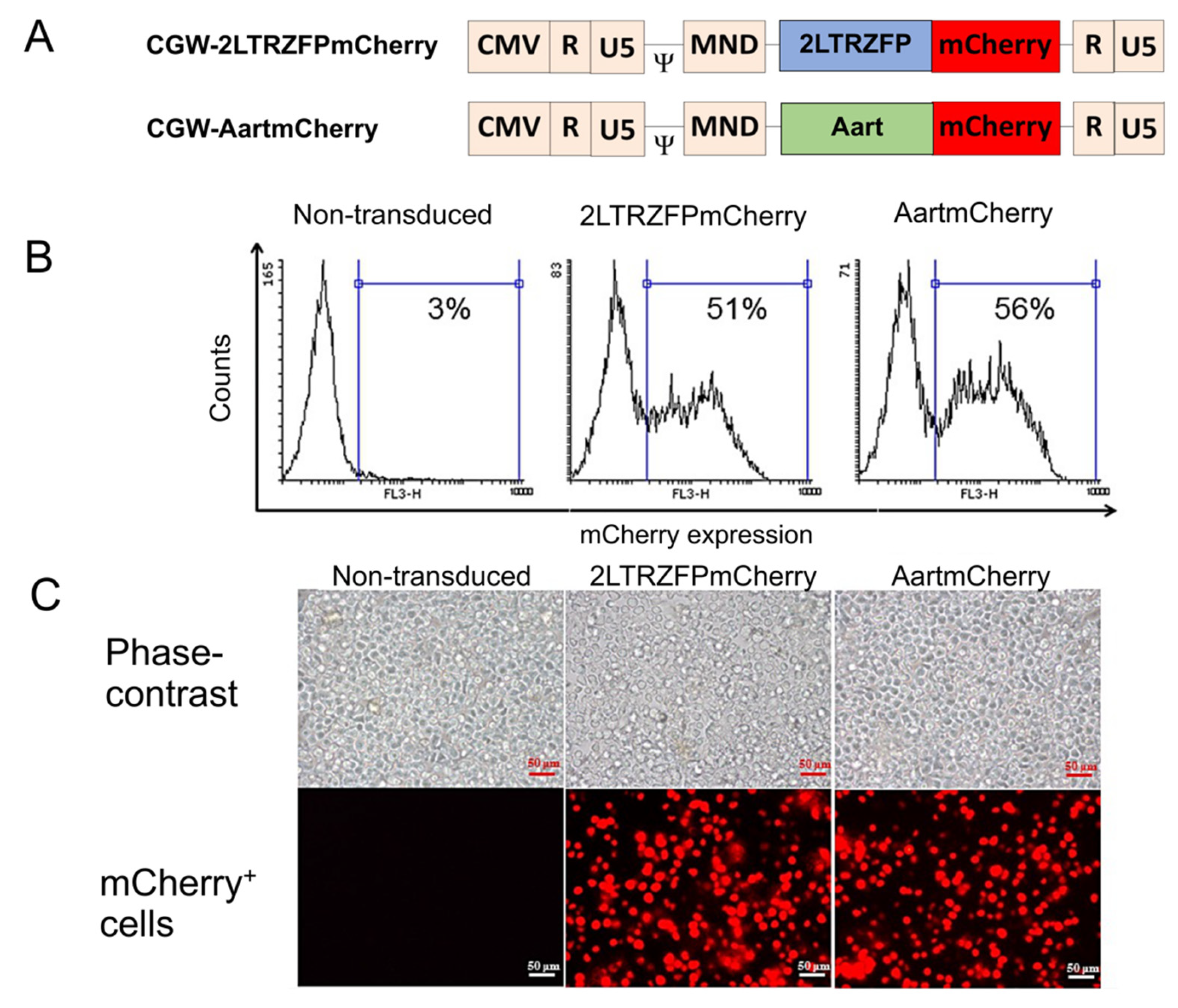 Ijms 23 02331 g001 550