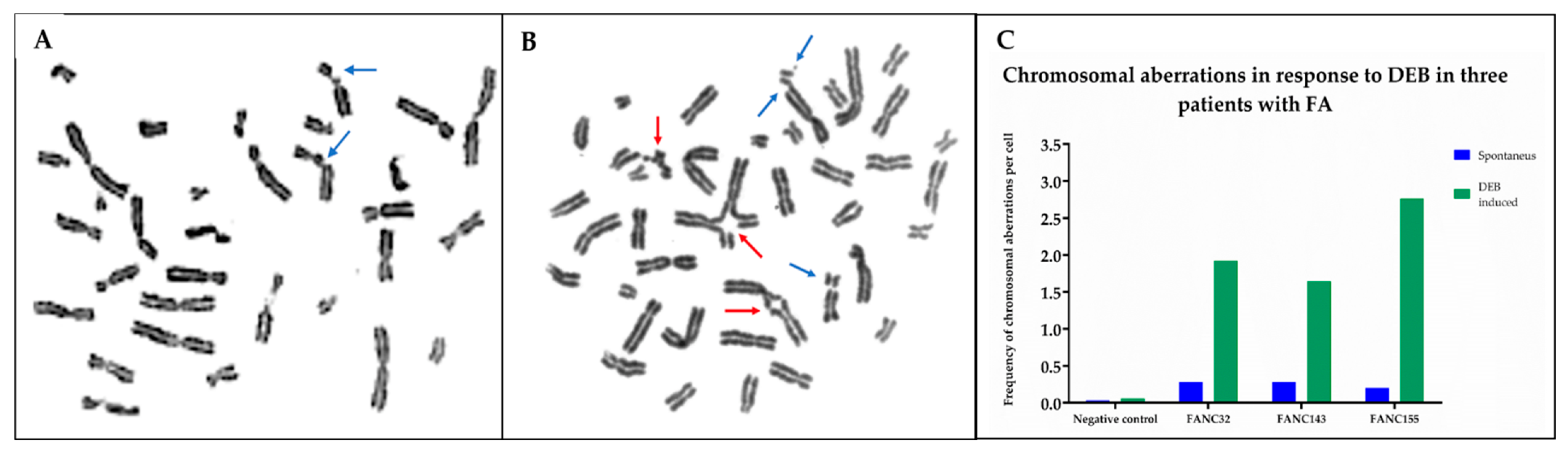 Ijms 23 02334 g001 550