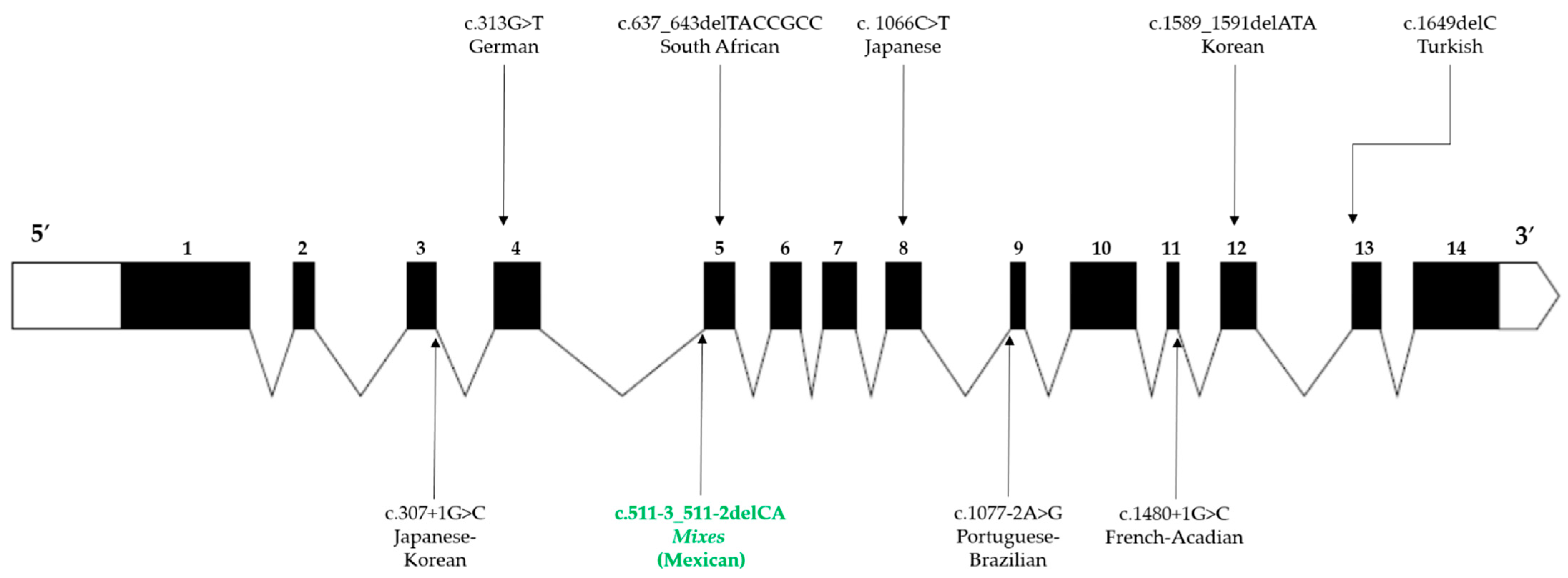 Ijms 23 02334 g003 550