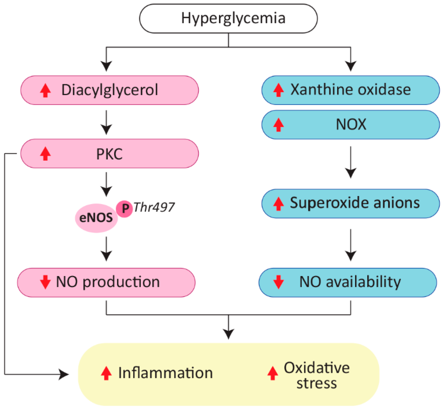 Ijms 23 02336 g001 550