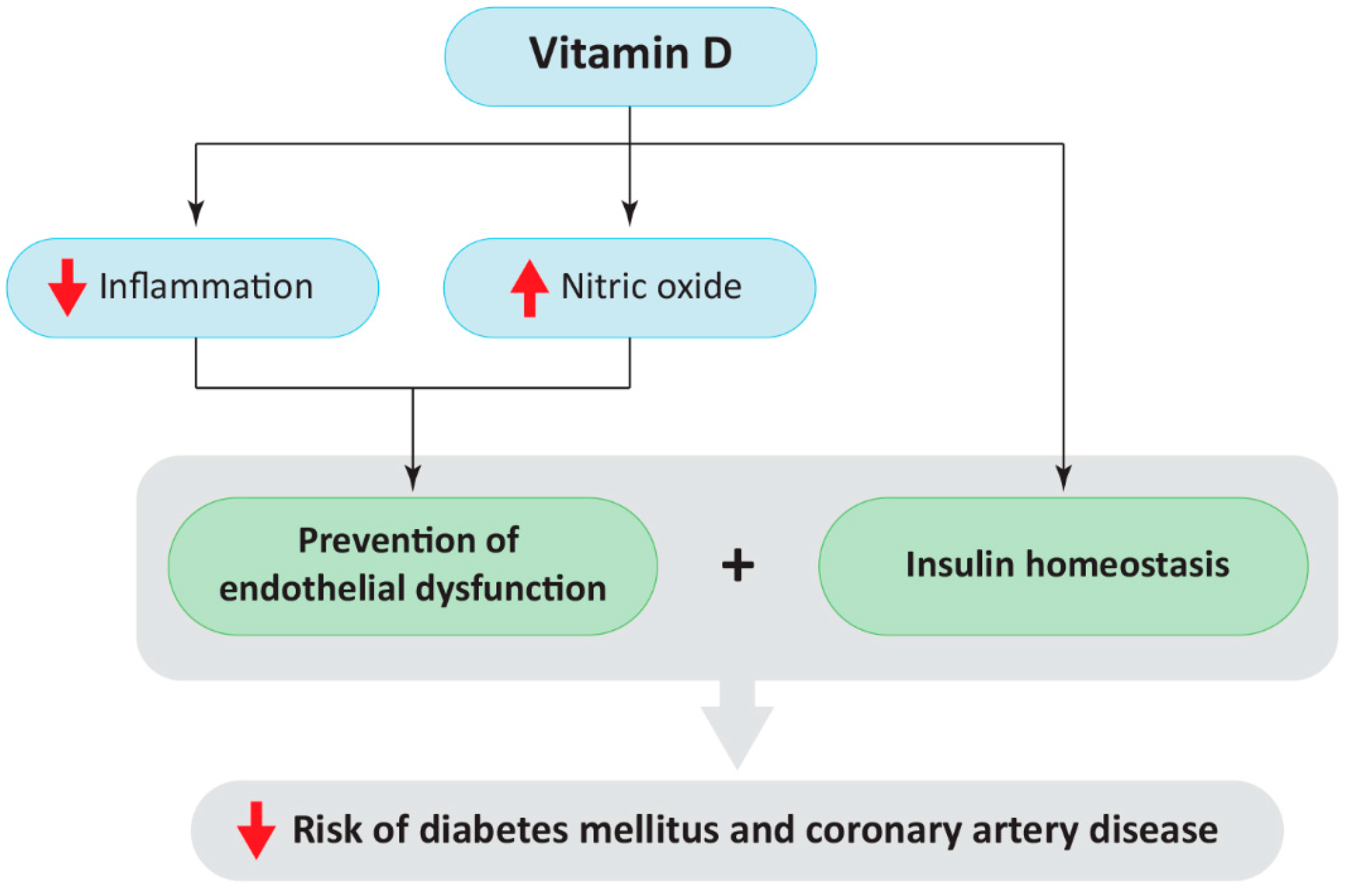 Ijms 23 02336 g004 550