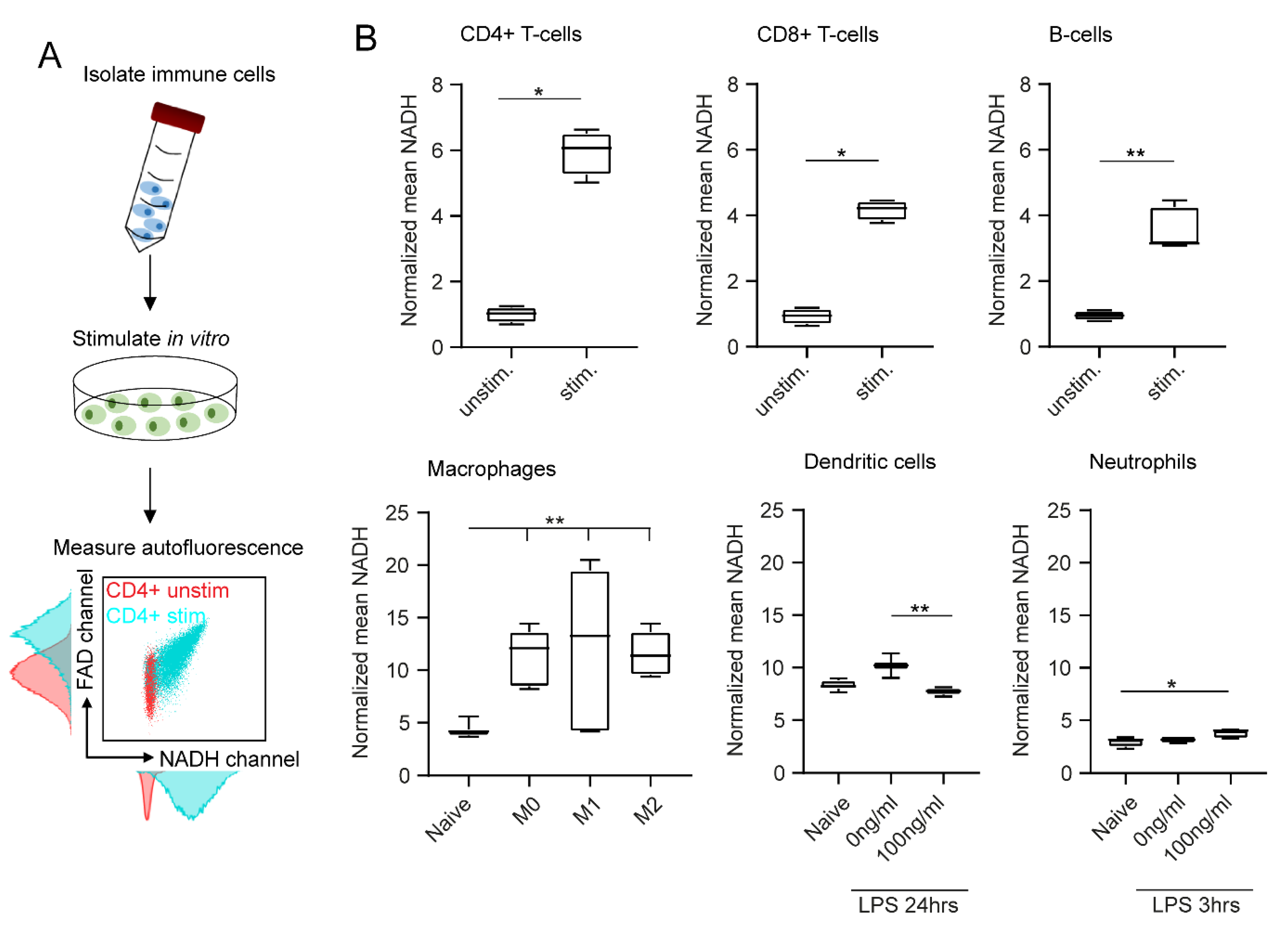 Ijms 23 02338 g002 550