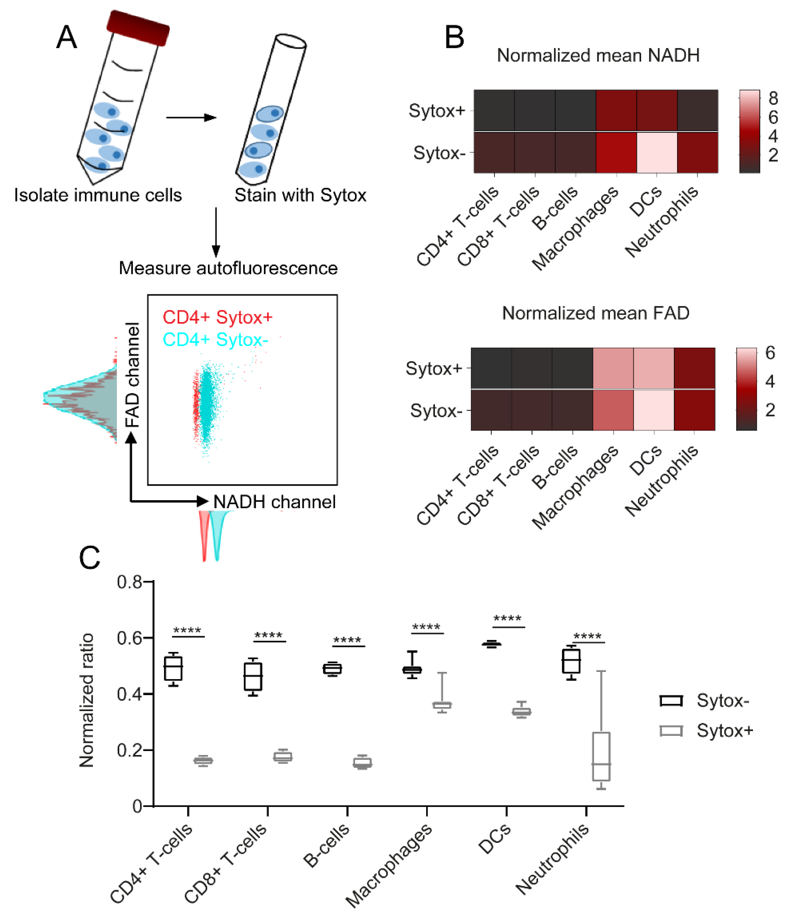 Ijms 23 02338 g003 550