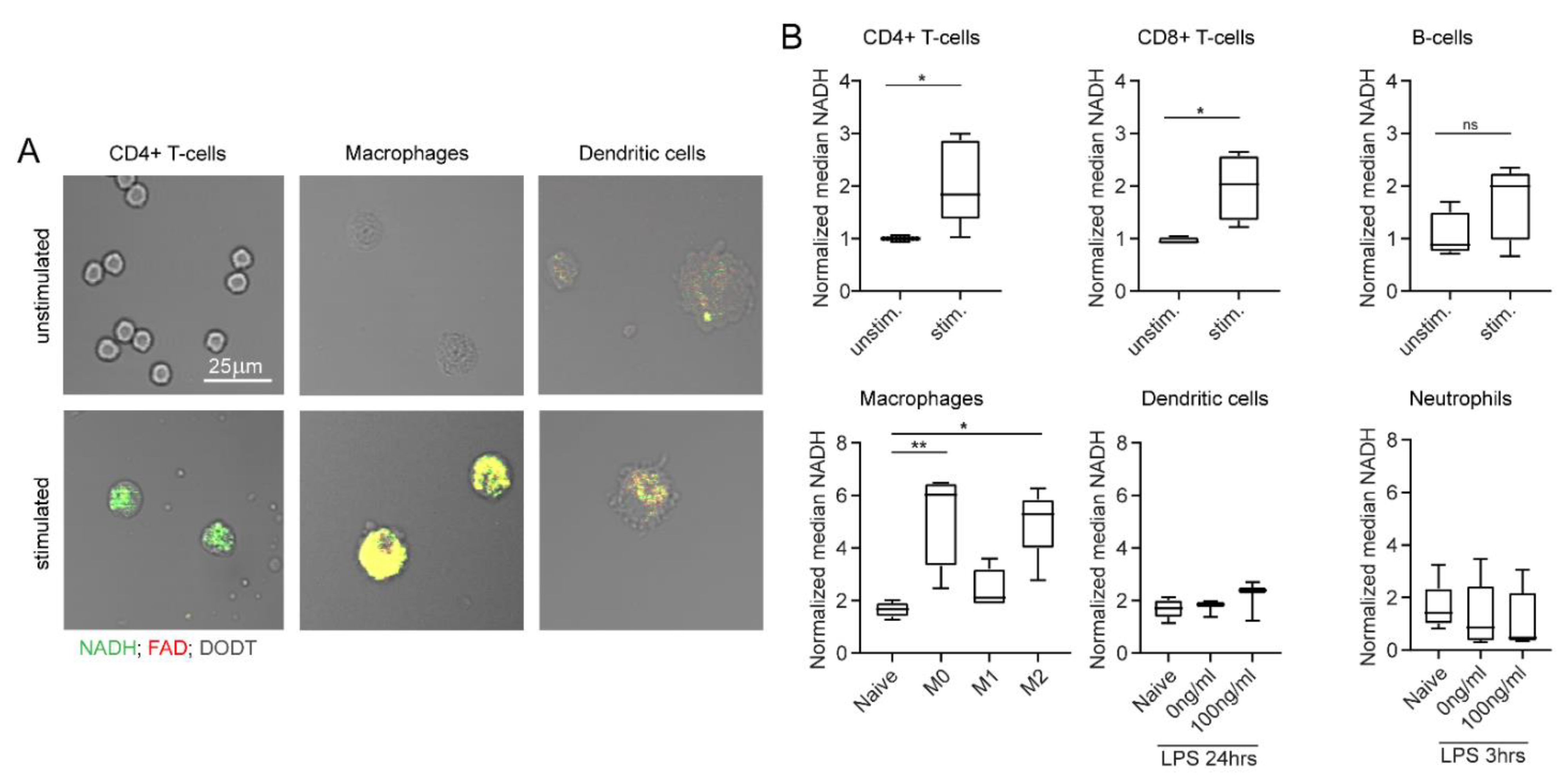 Ijms 23 02338 g005 550