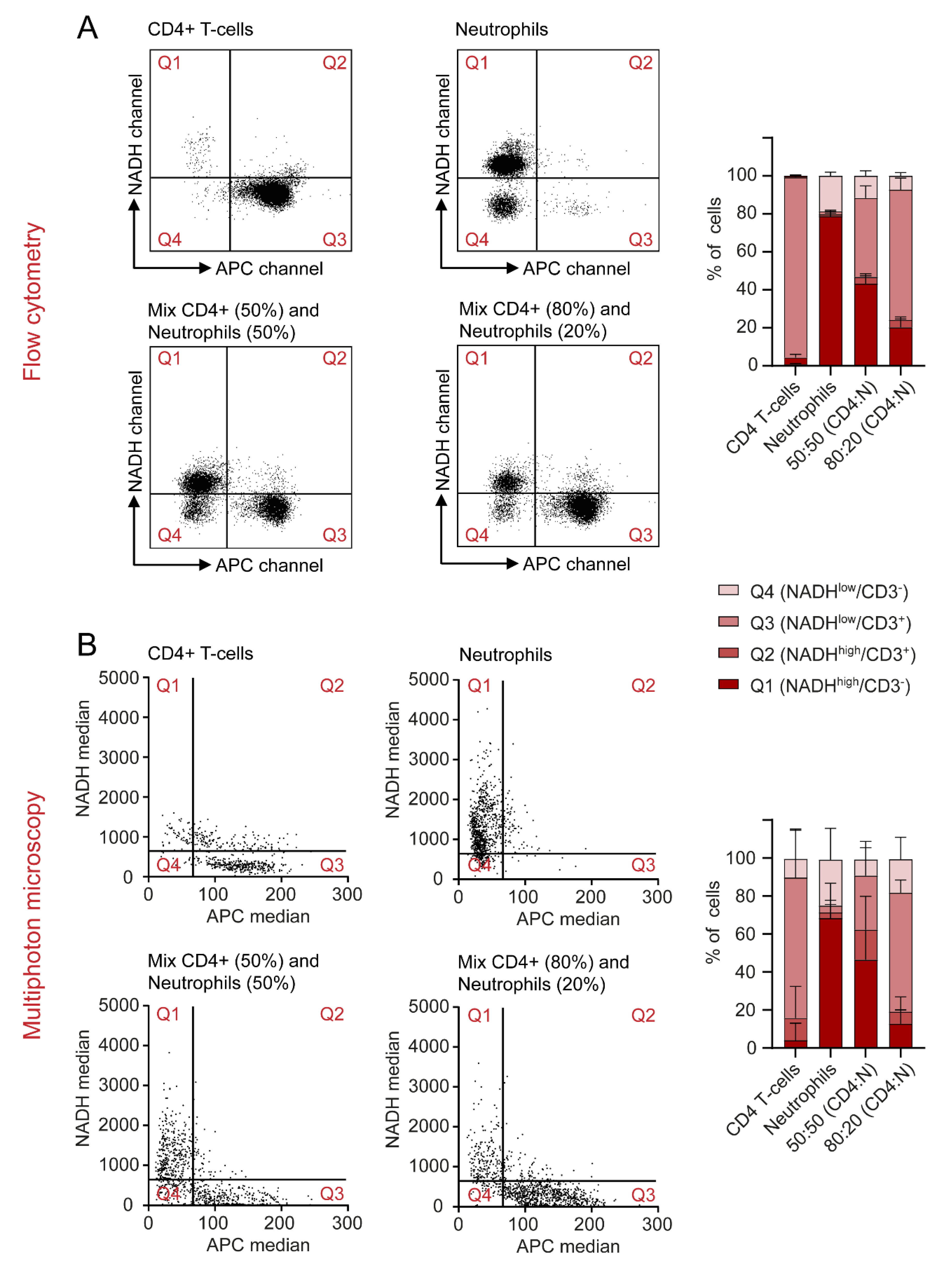 Ijms 23 02338 g006 550