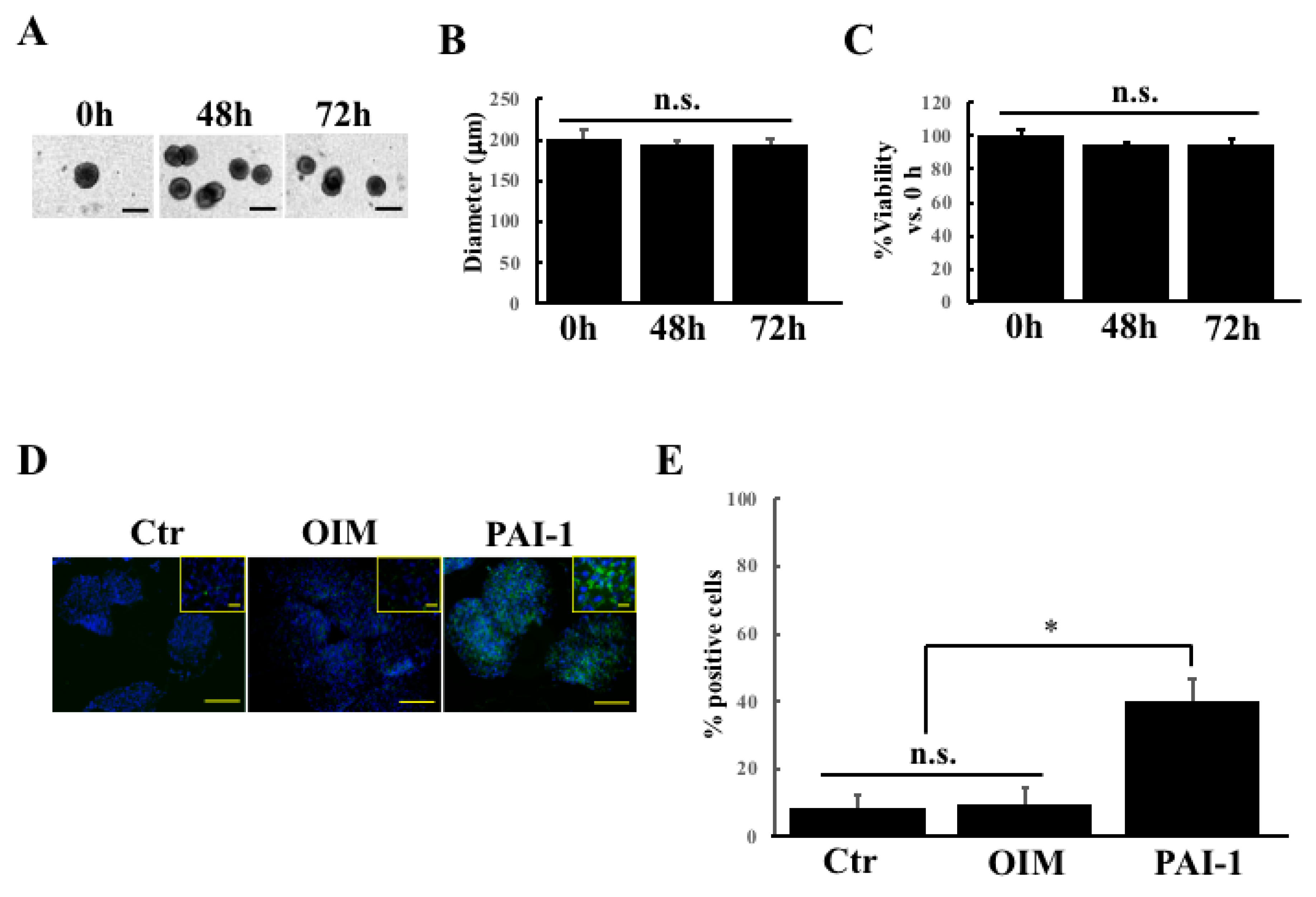 Ijms 23 02340 g002 Ijms 23 02340 g002