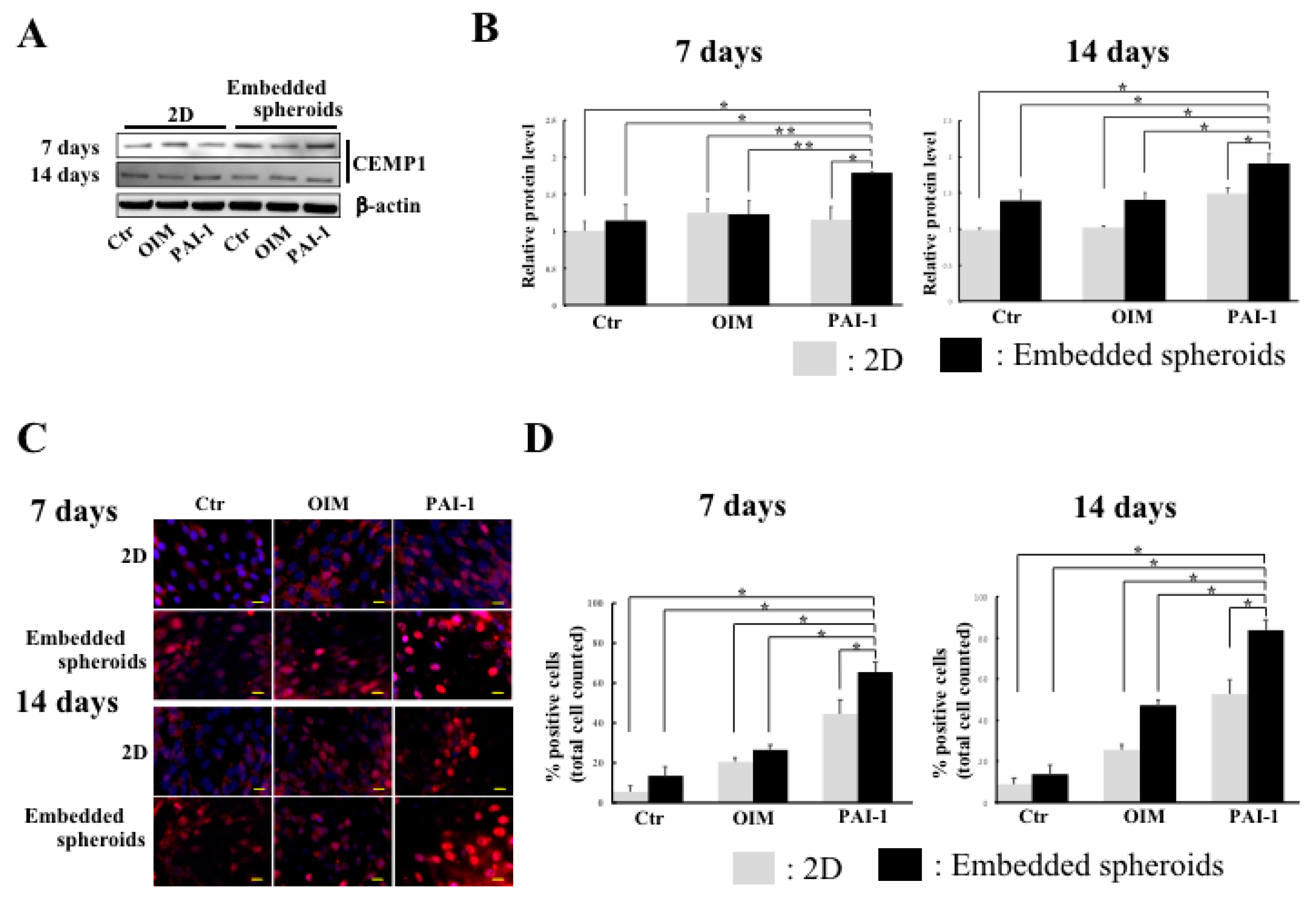 Ijms 23 02340 g004 Ijms 23 02340 g004