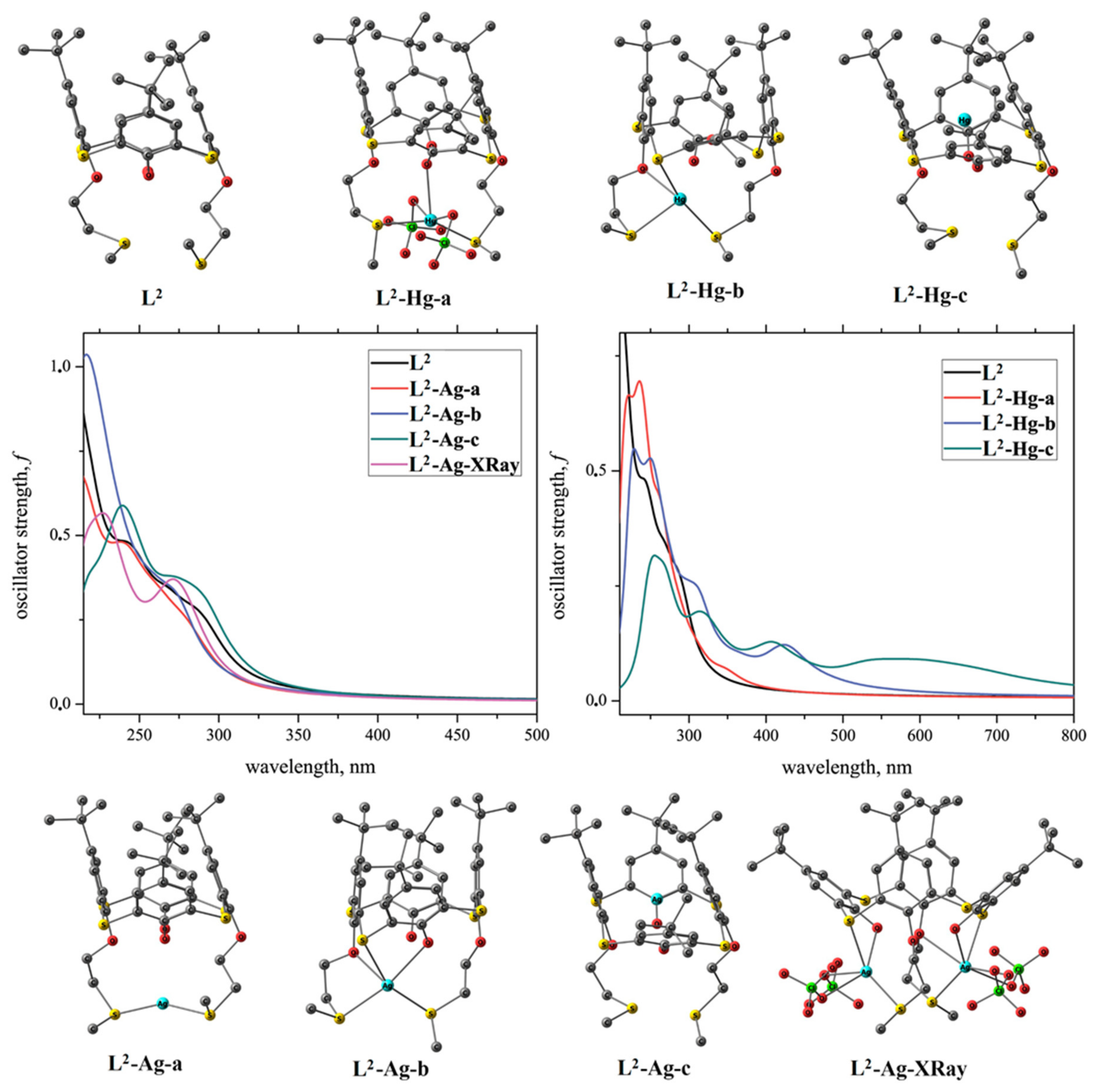 Ijms 23 02341 g007 Ijms 23 02341 g007