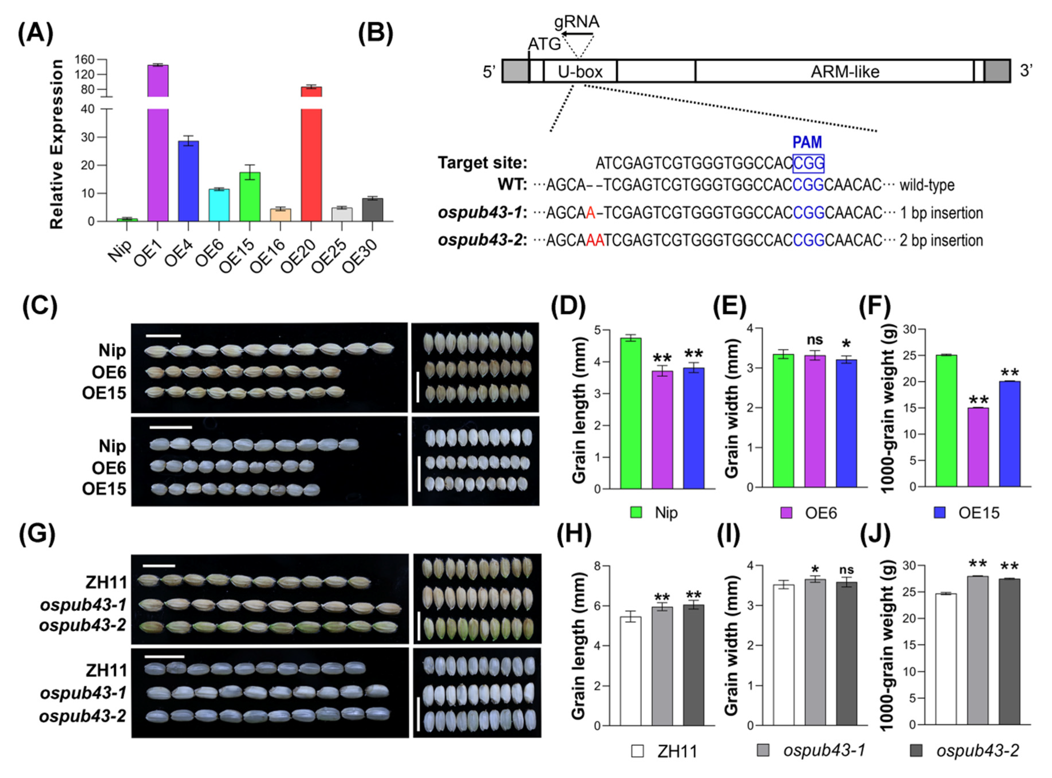 Ijms 23 02347 g001 550