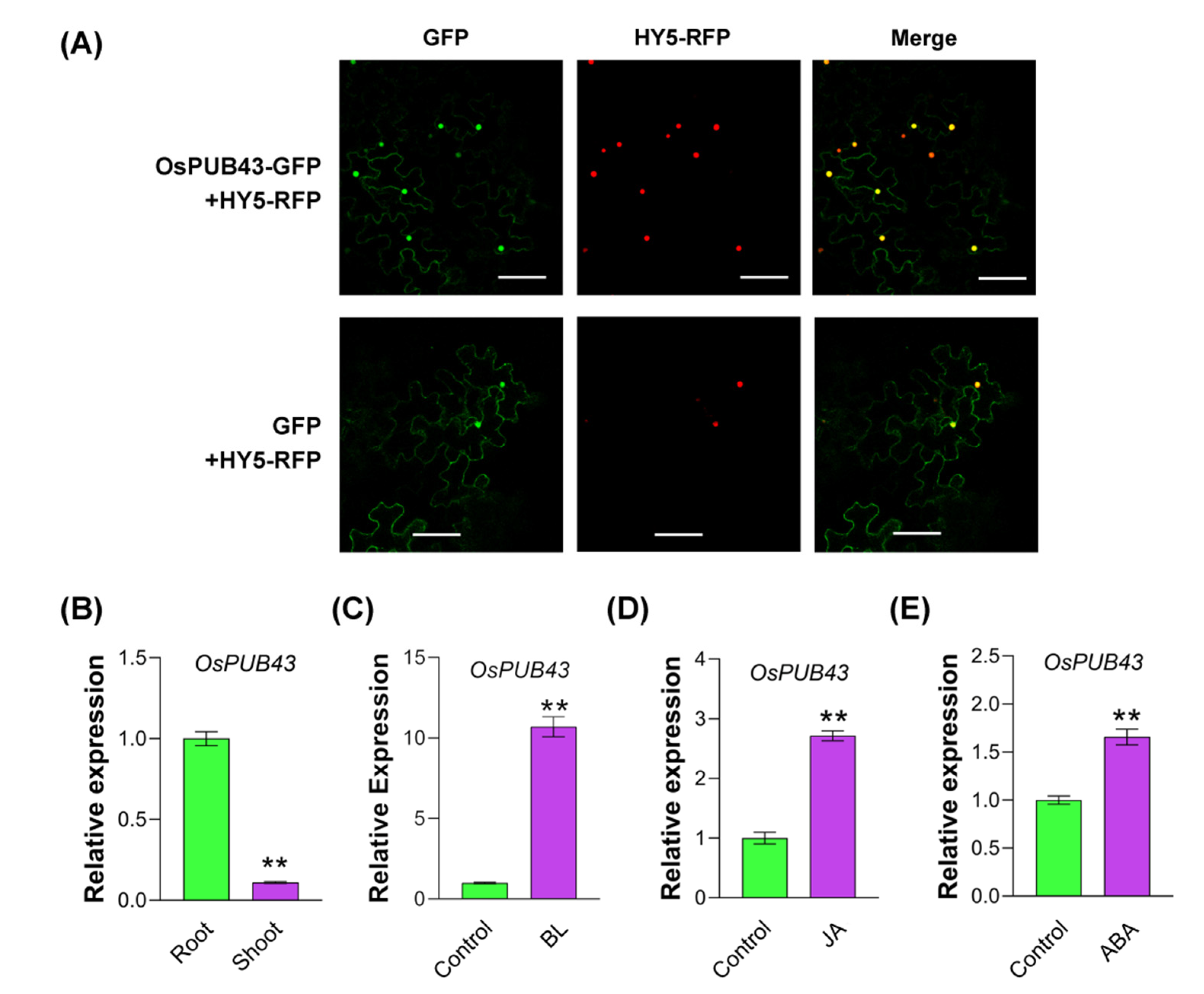 Ijms 23 02347 g003 550