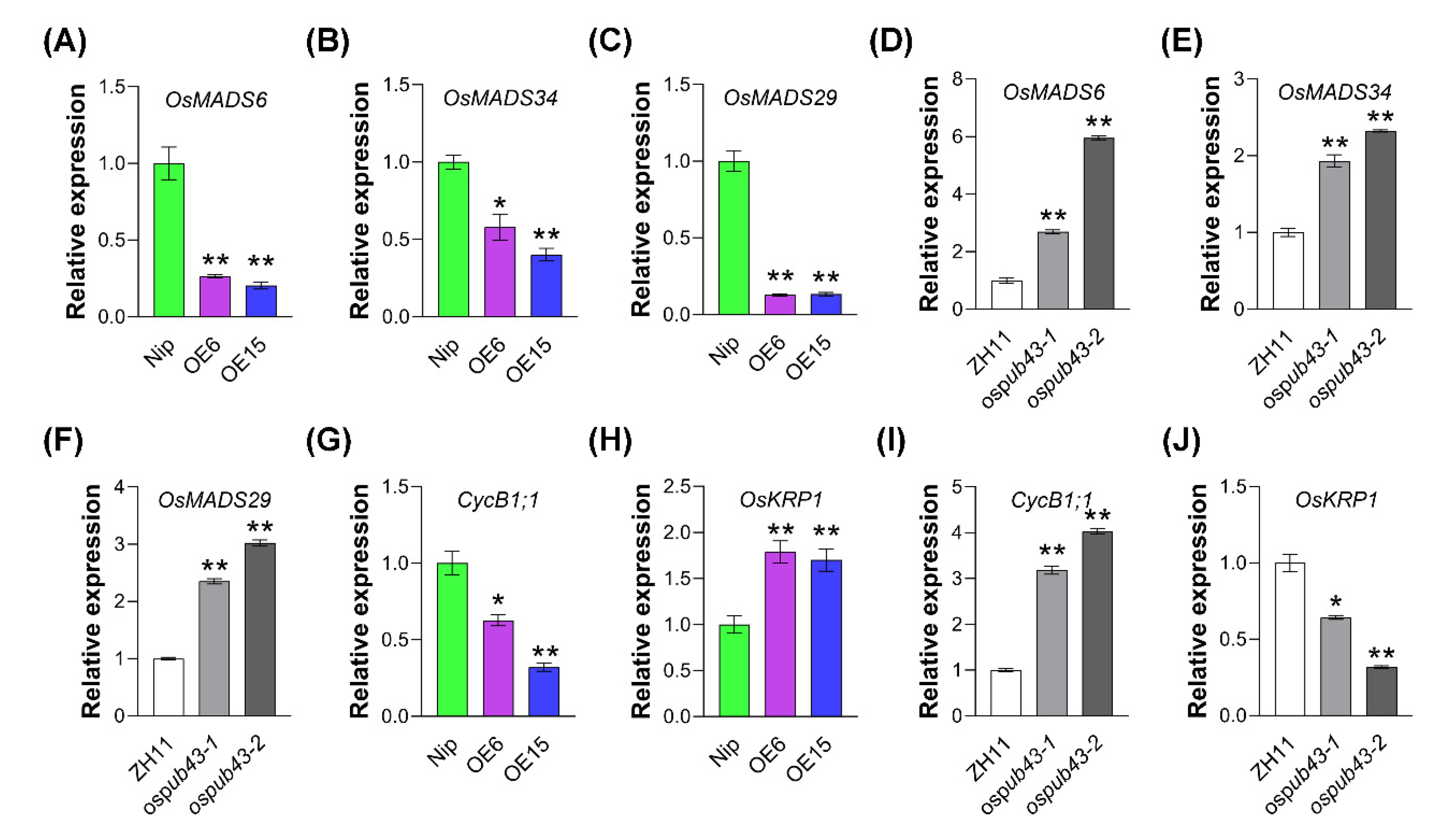 Ijms 23 02347 g005 550