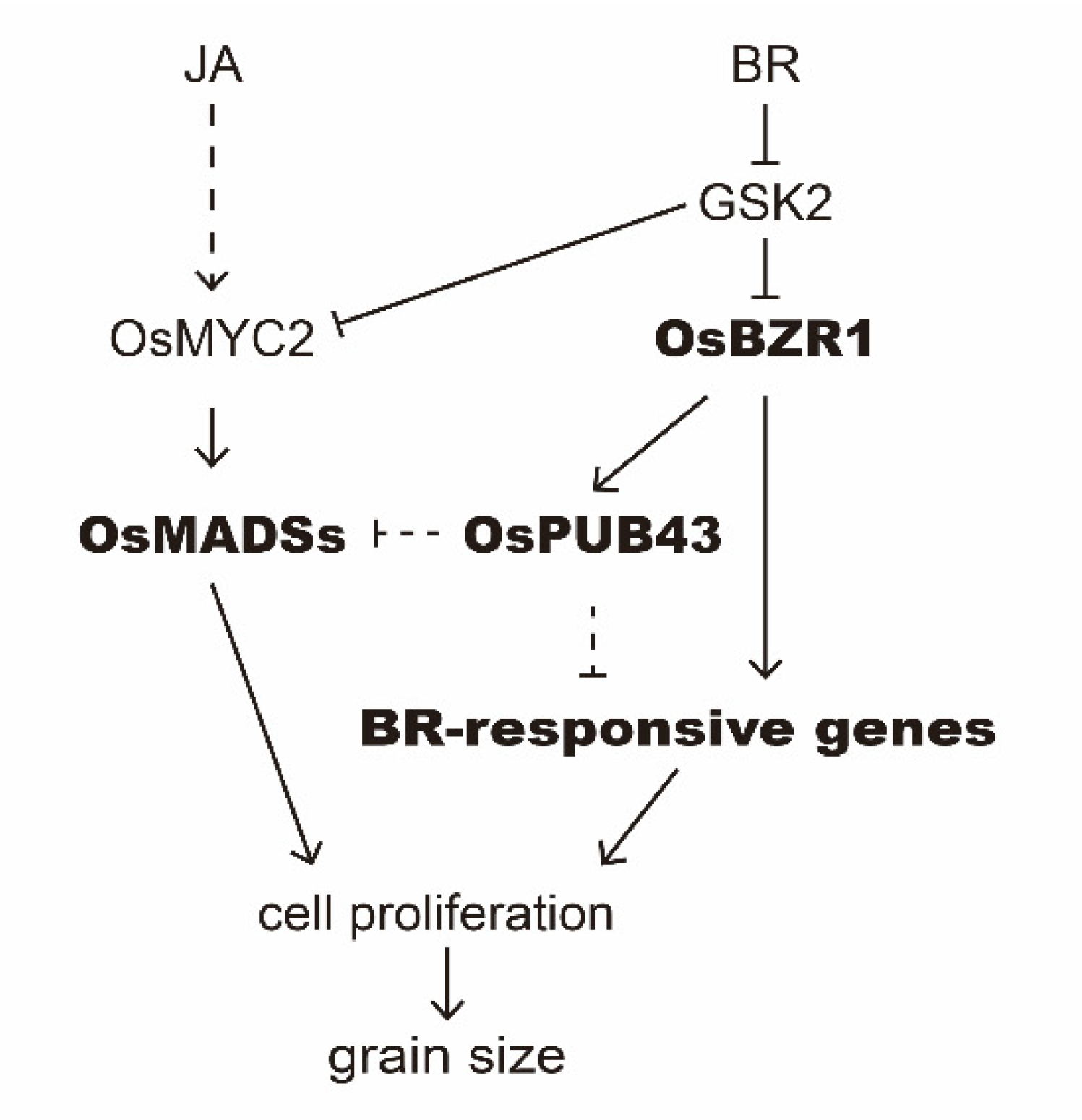 Ijms 23 02347 g007 550