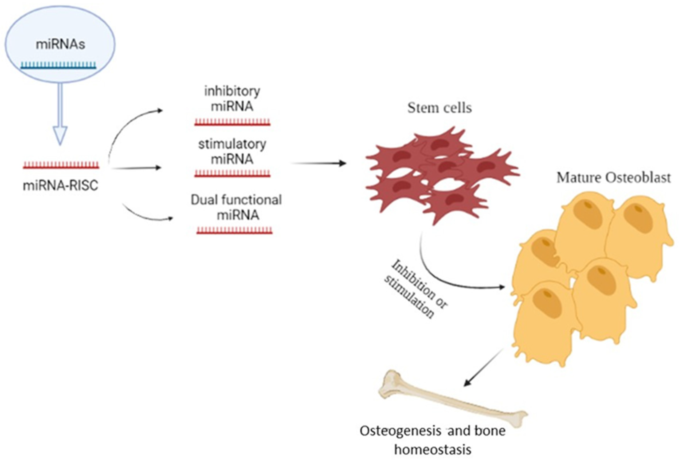 Ijms 23 02348 g002 Ijms 23 02348 g002