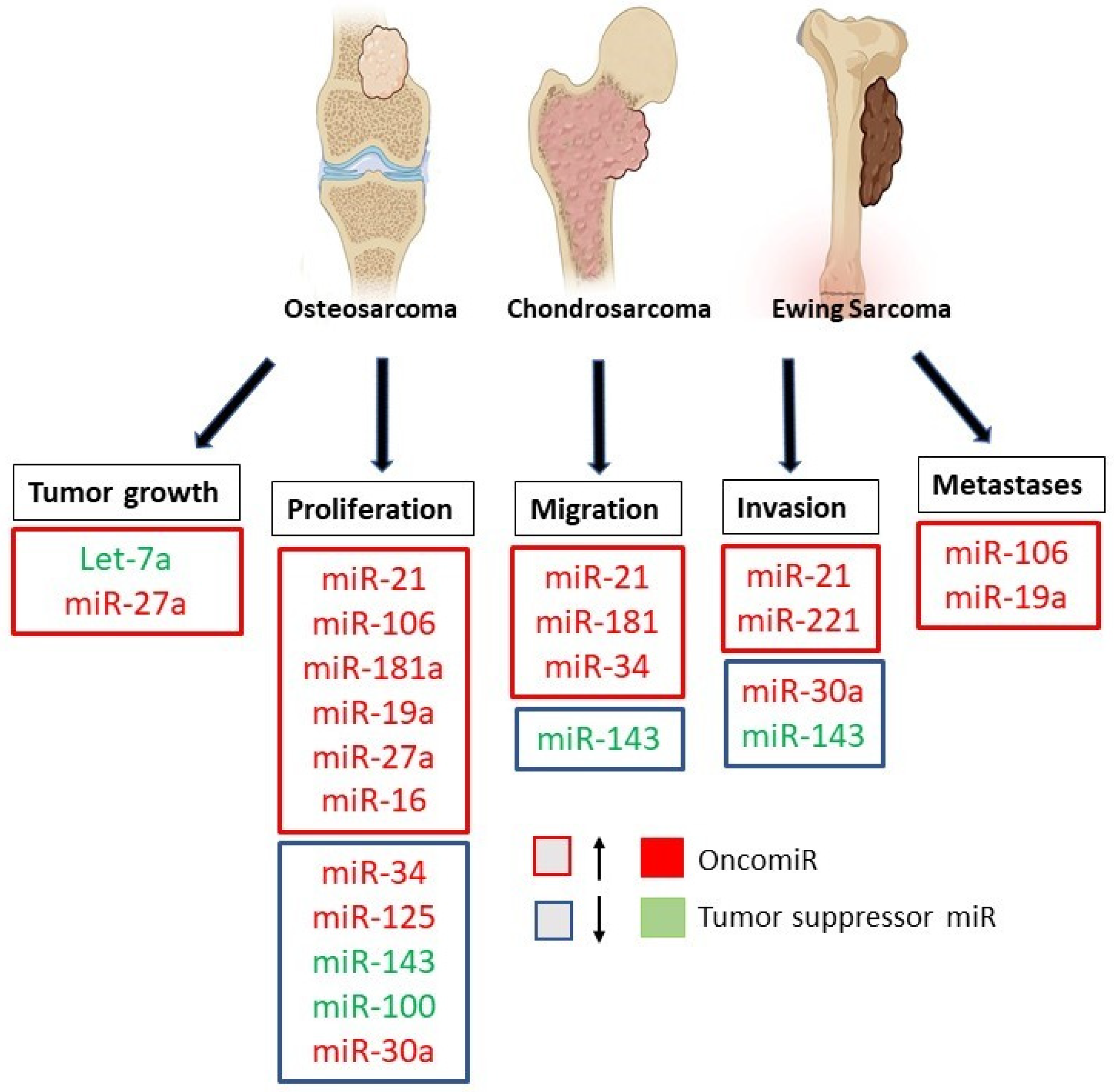 Ijms 23 02348 g004 Ijms 23 02348 g004