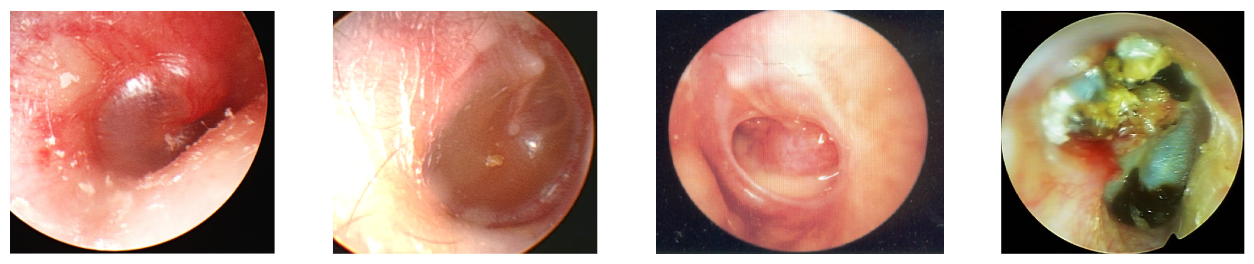 Ijms 23 02350 g001 550